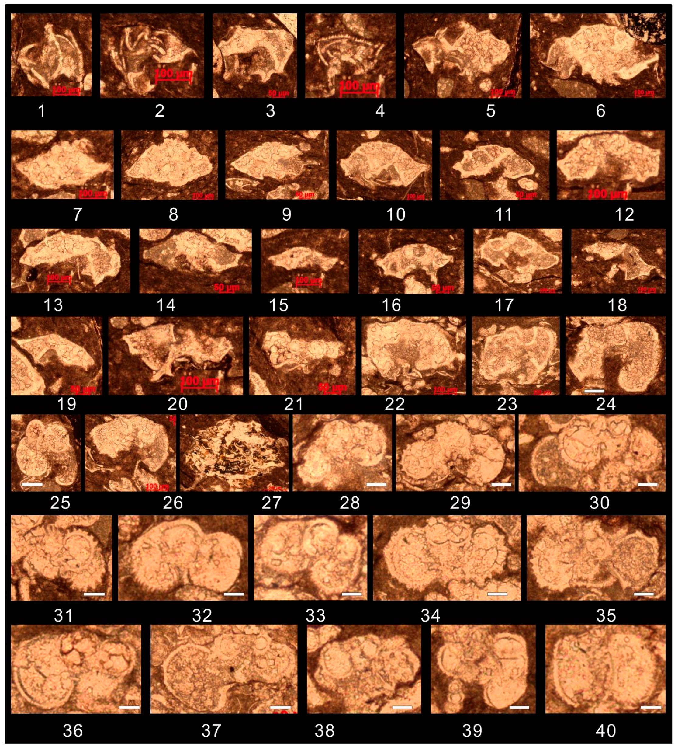 Preprints 156247 g008
