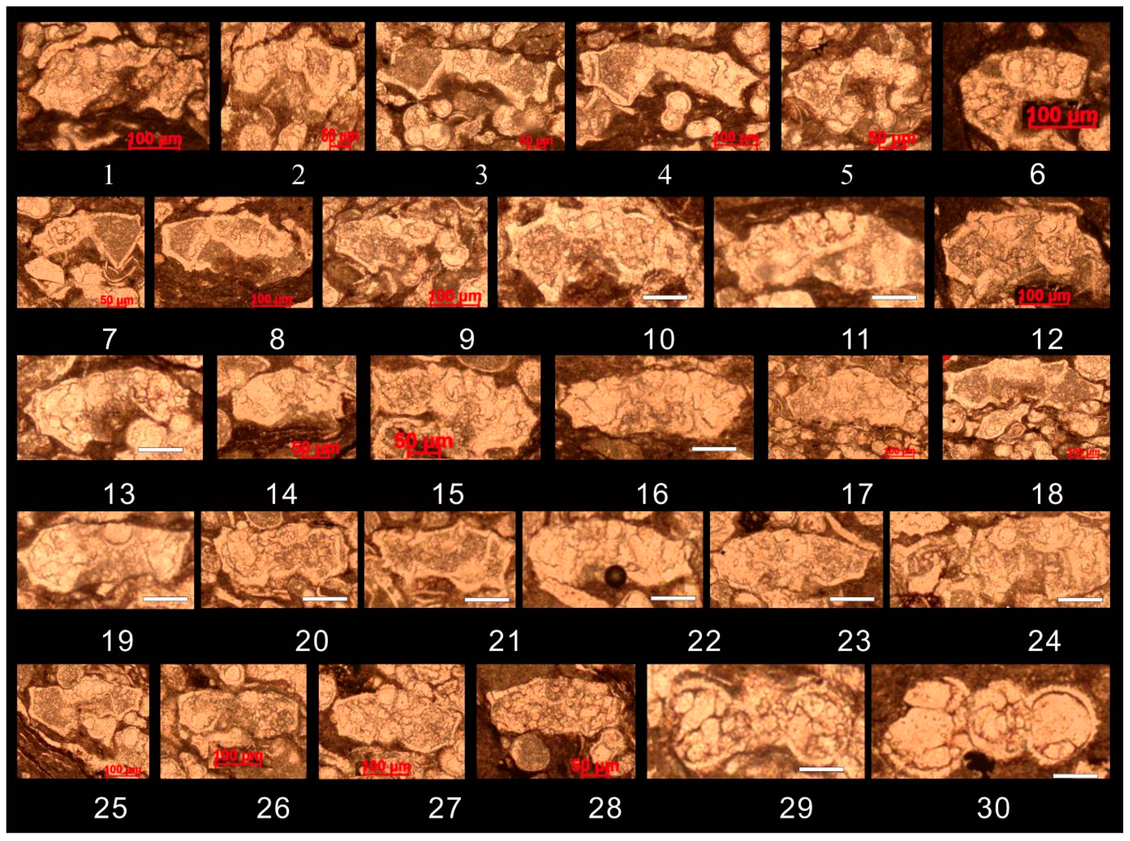 Preprints 156247 g009
