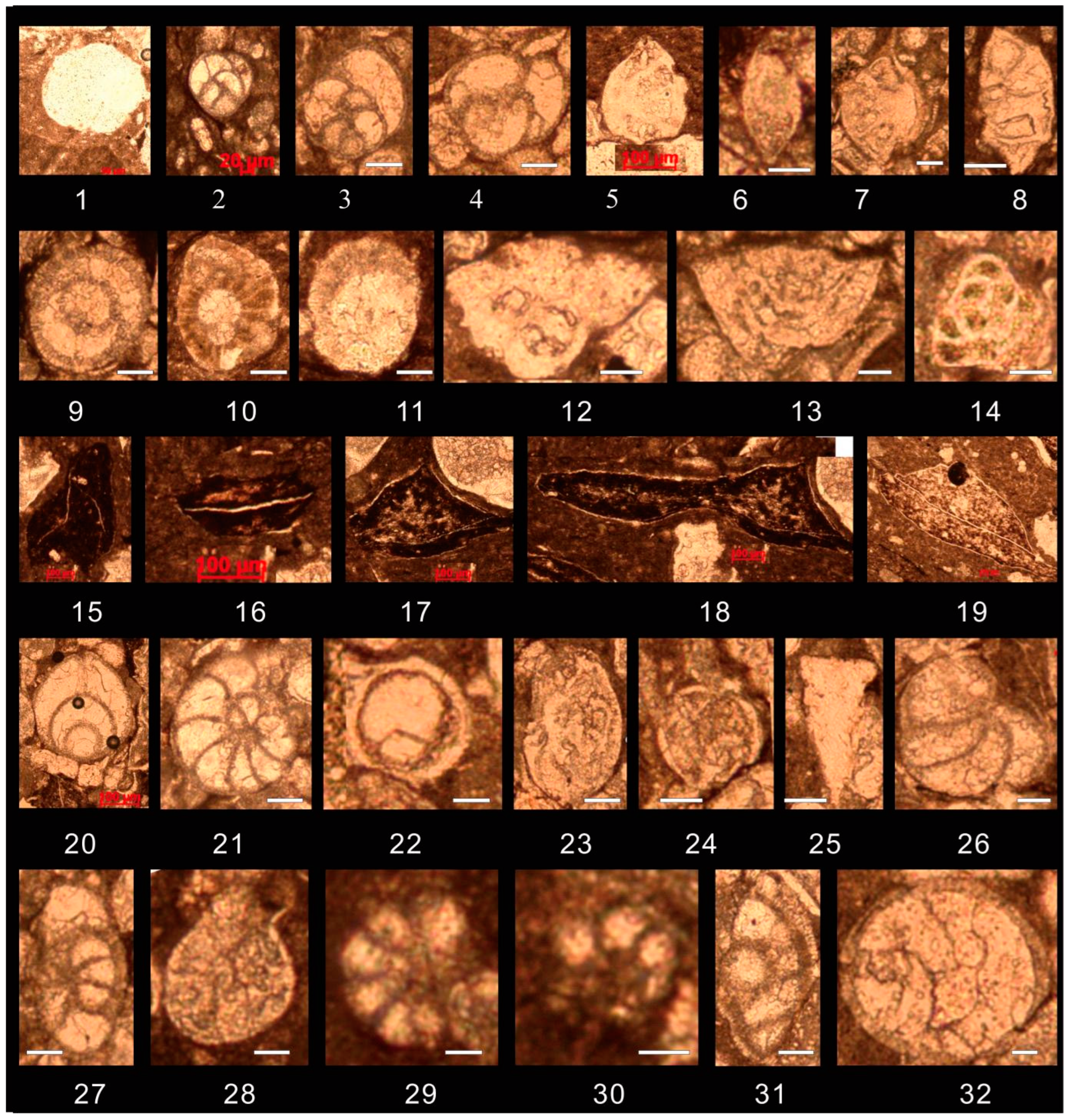 Preprints 156247 g010