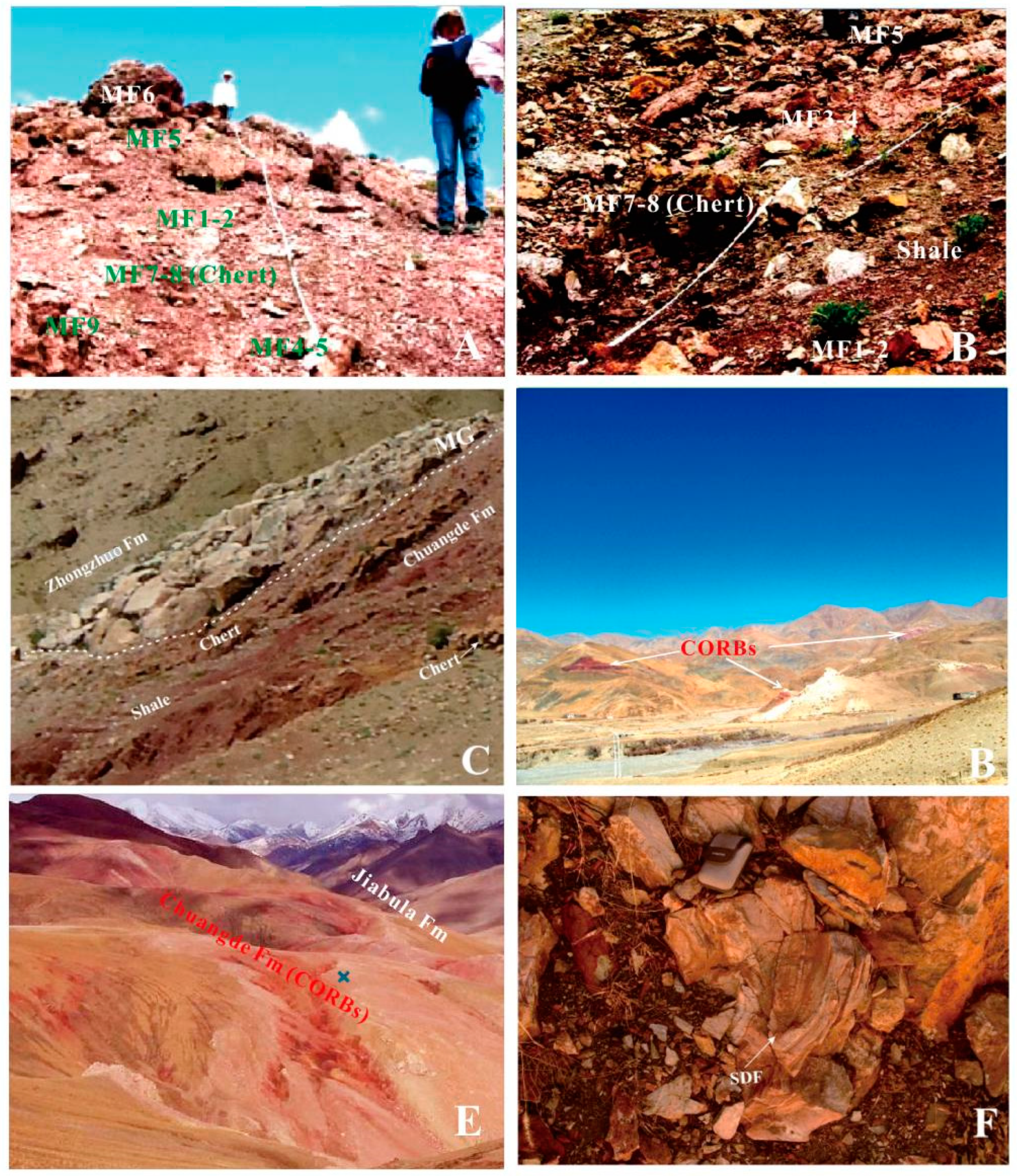 Preprints 156247 g013