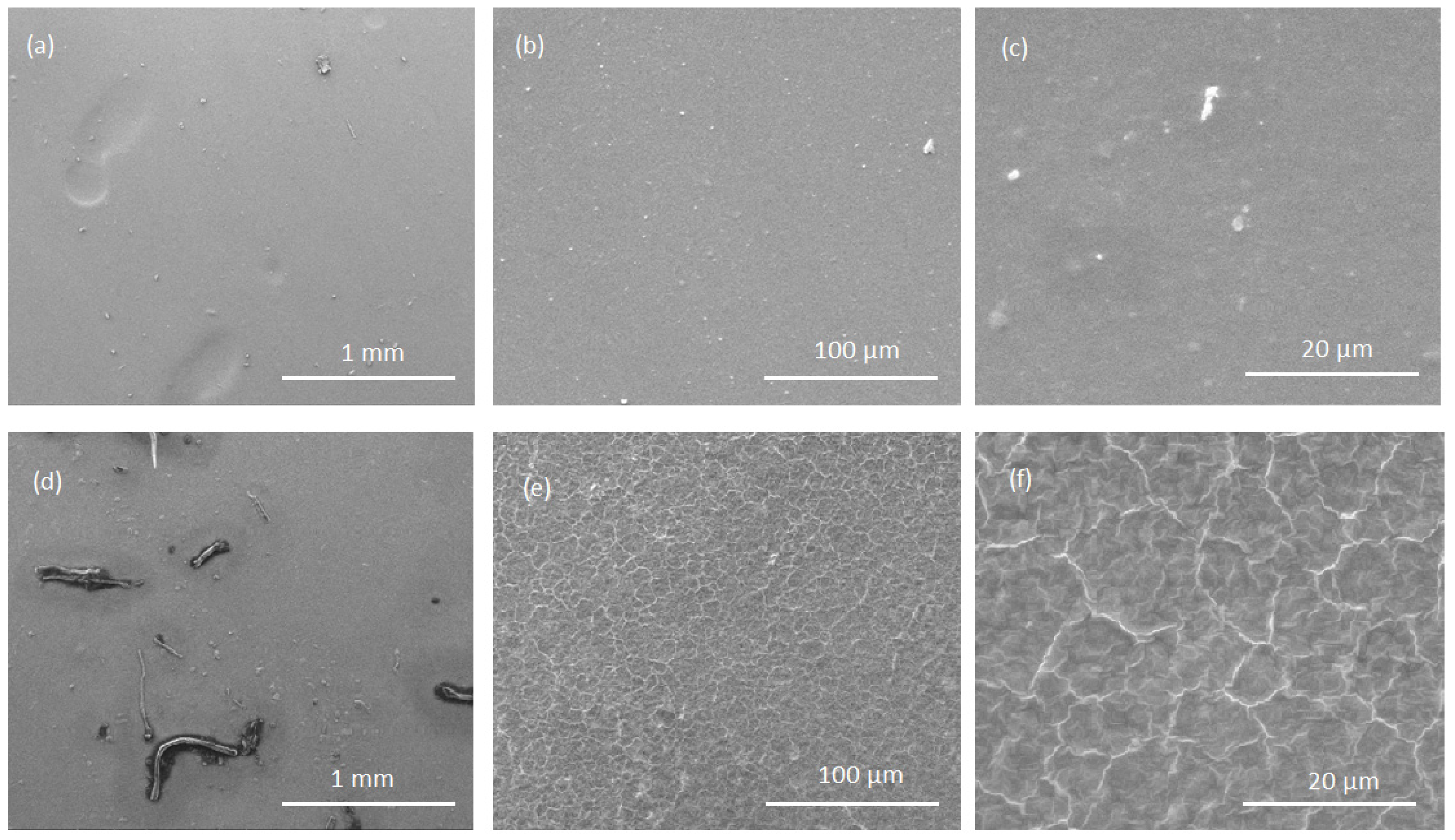 Preprints 188688 g002
