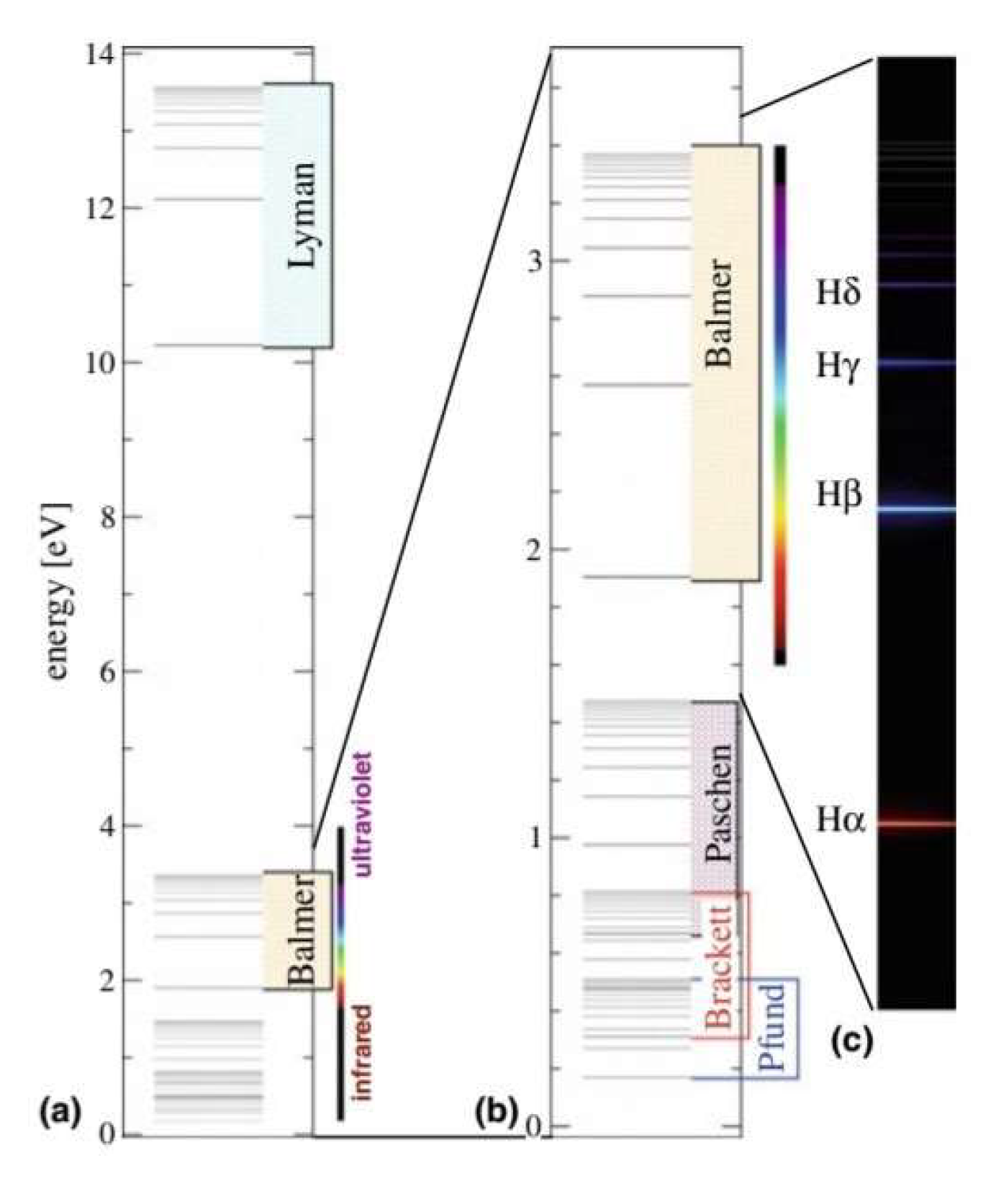Preprints 146317 g002