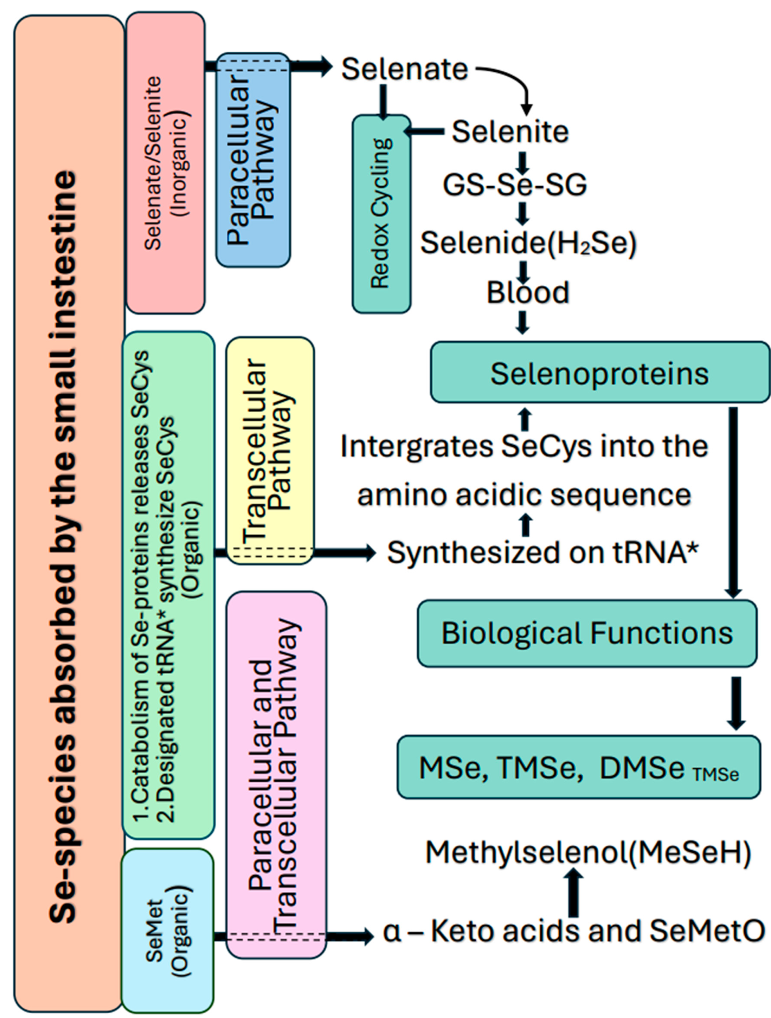 Preprints 147277 g002