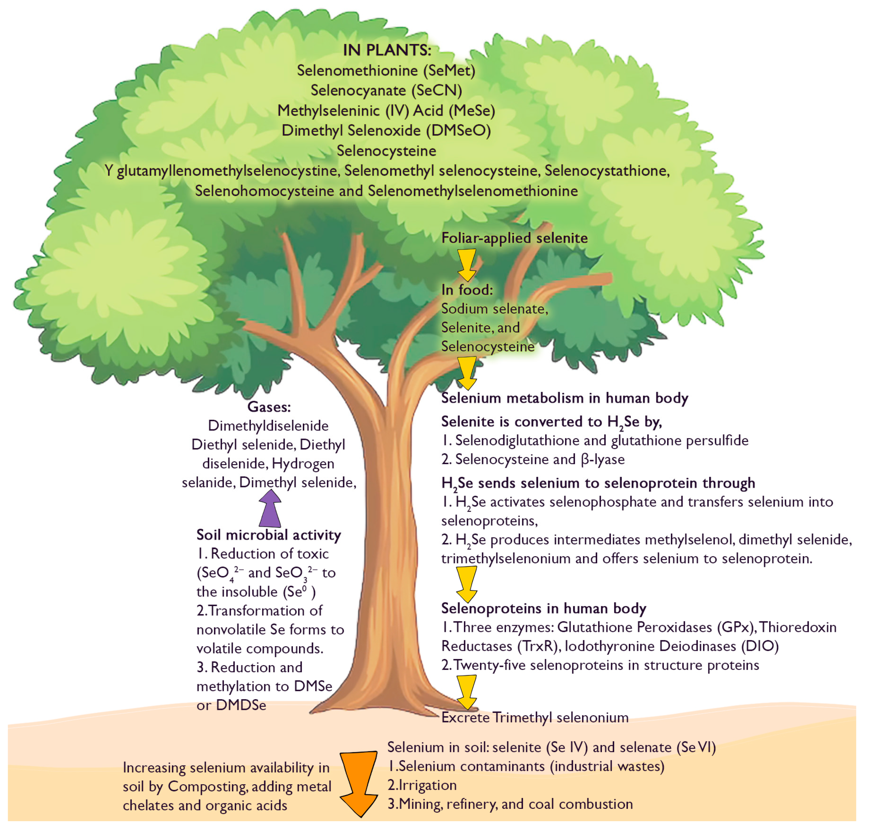 Preprints 147277 g003