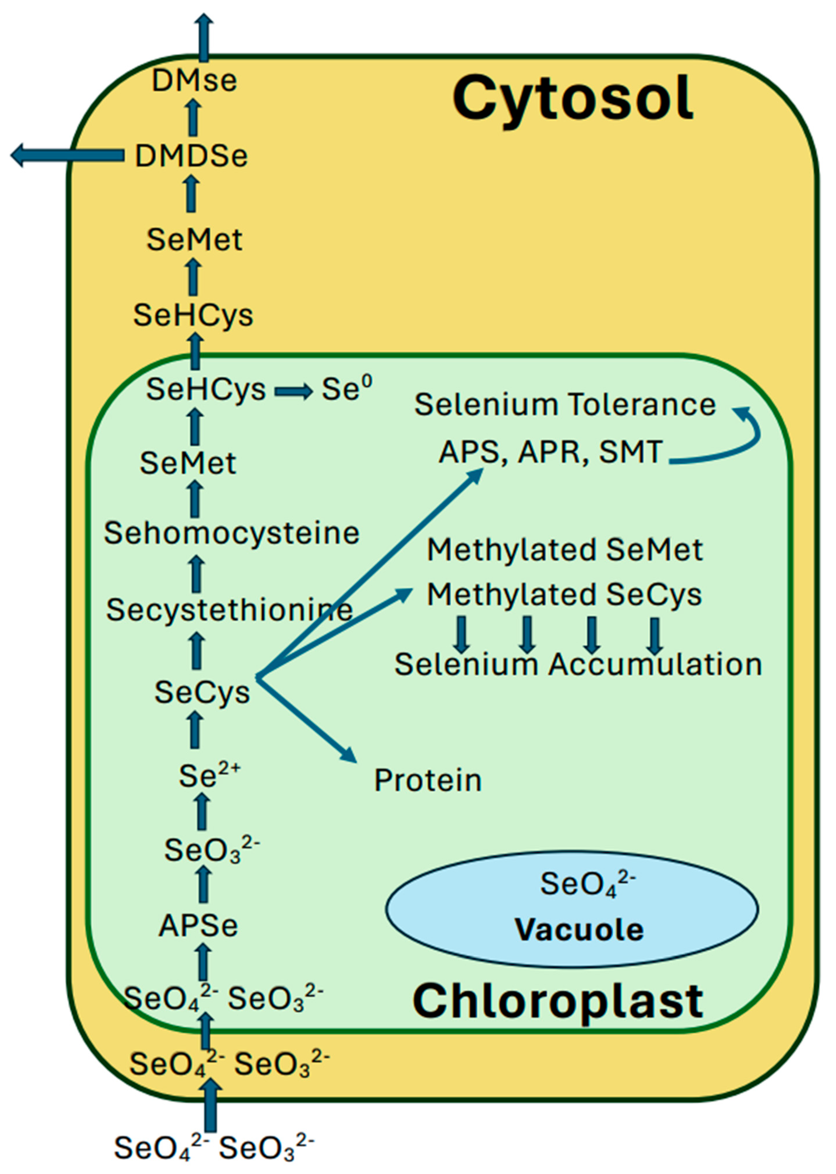 Preprints 147277 g004