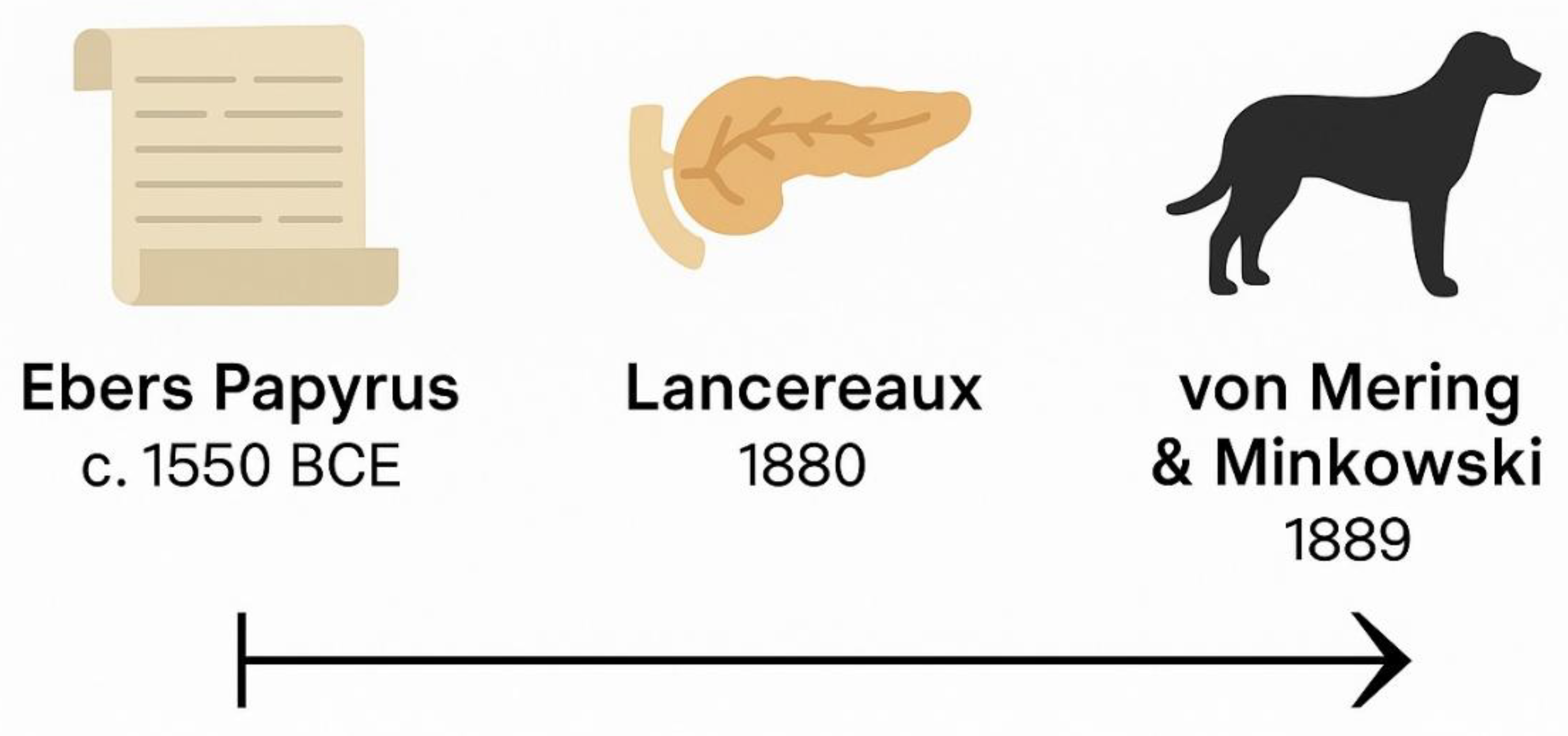 Preprints 161469 g002