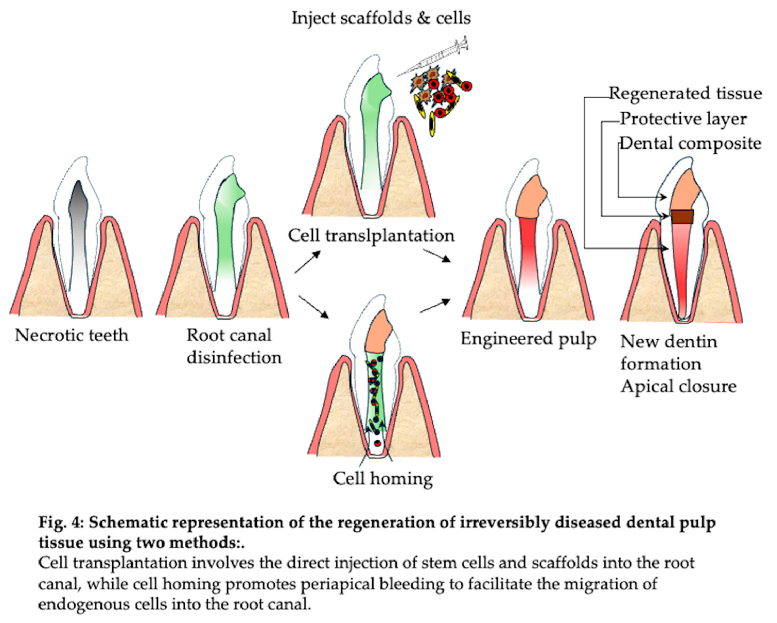 Preprints 148323 i004