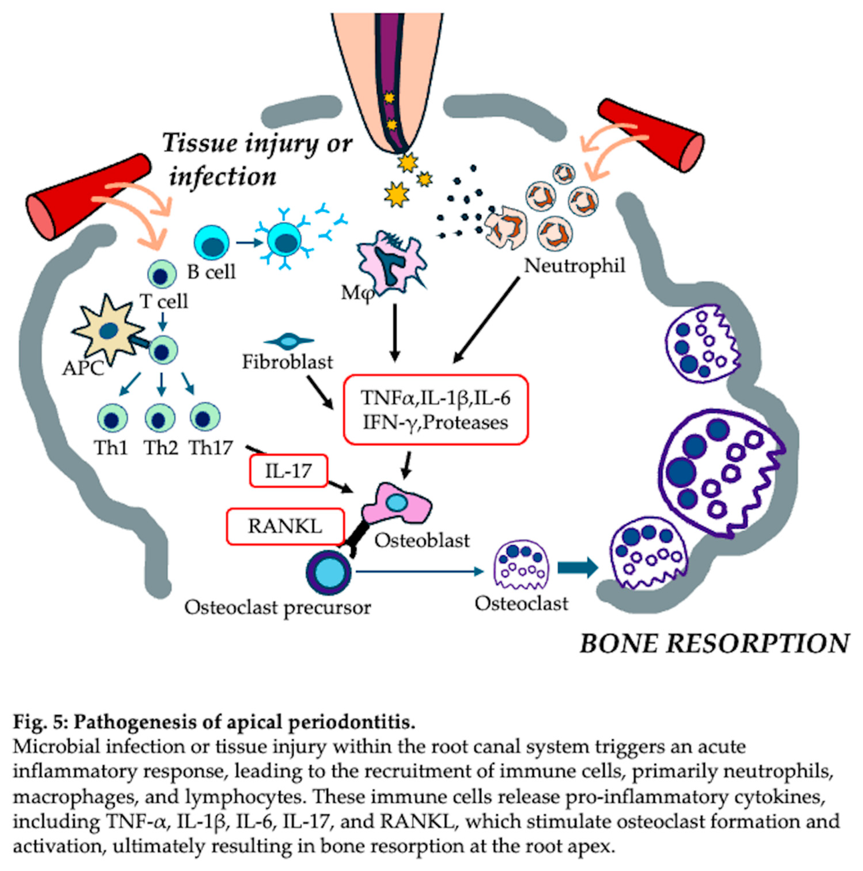 Preprints 148323 i005