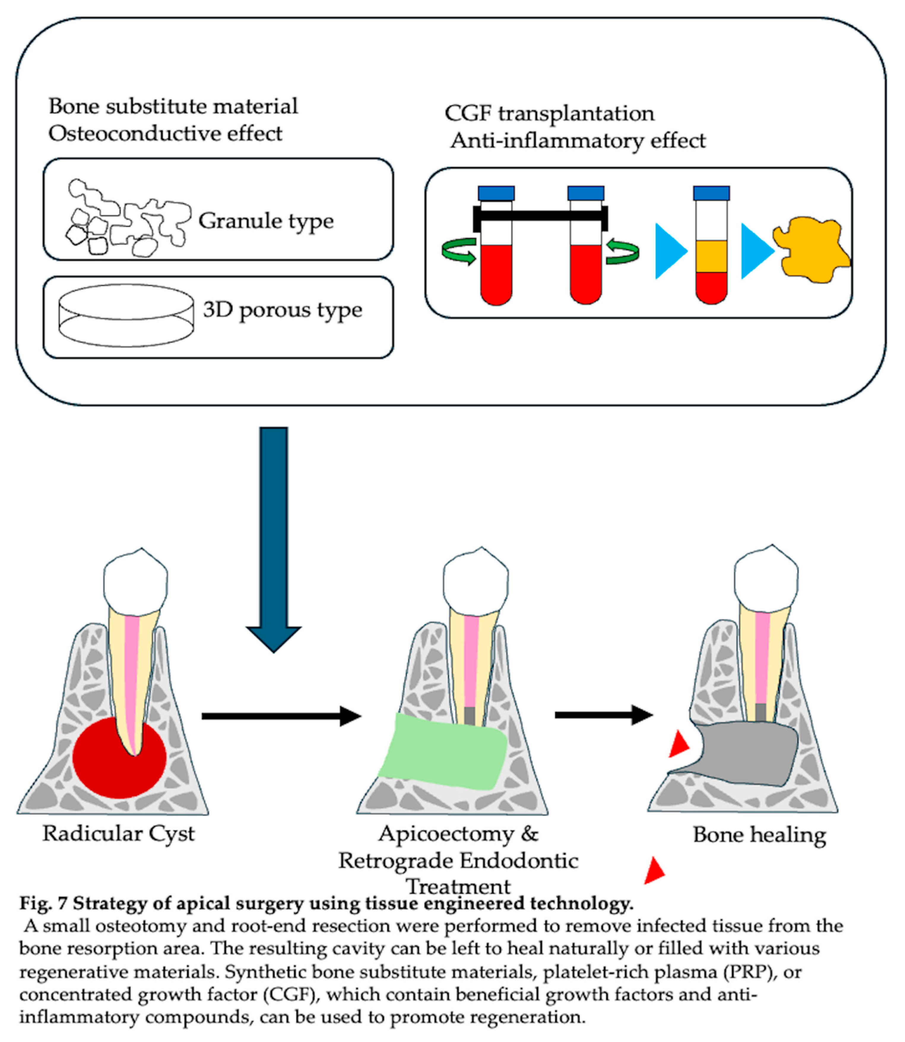 Preprints 148323 i007