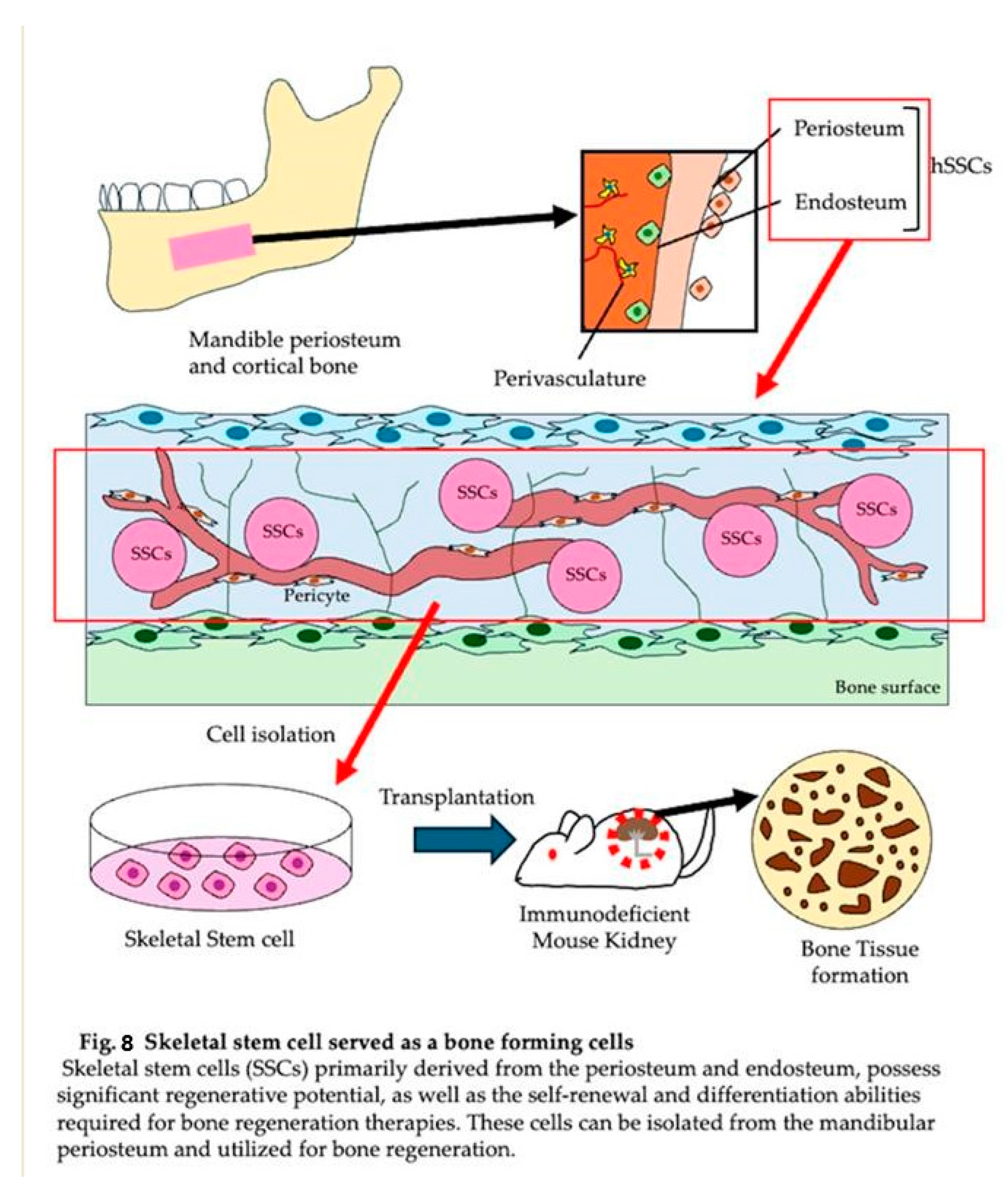 Preprints 148323 i008