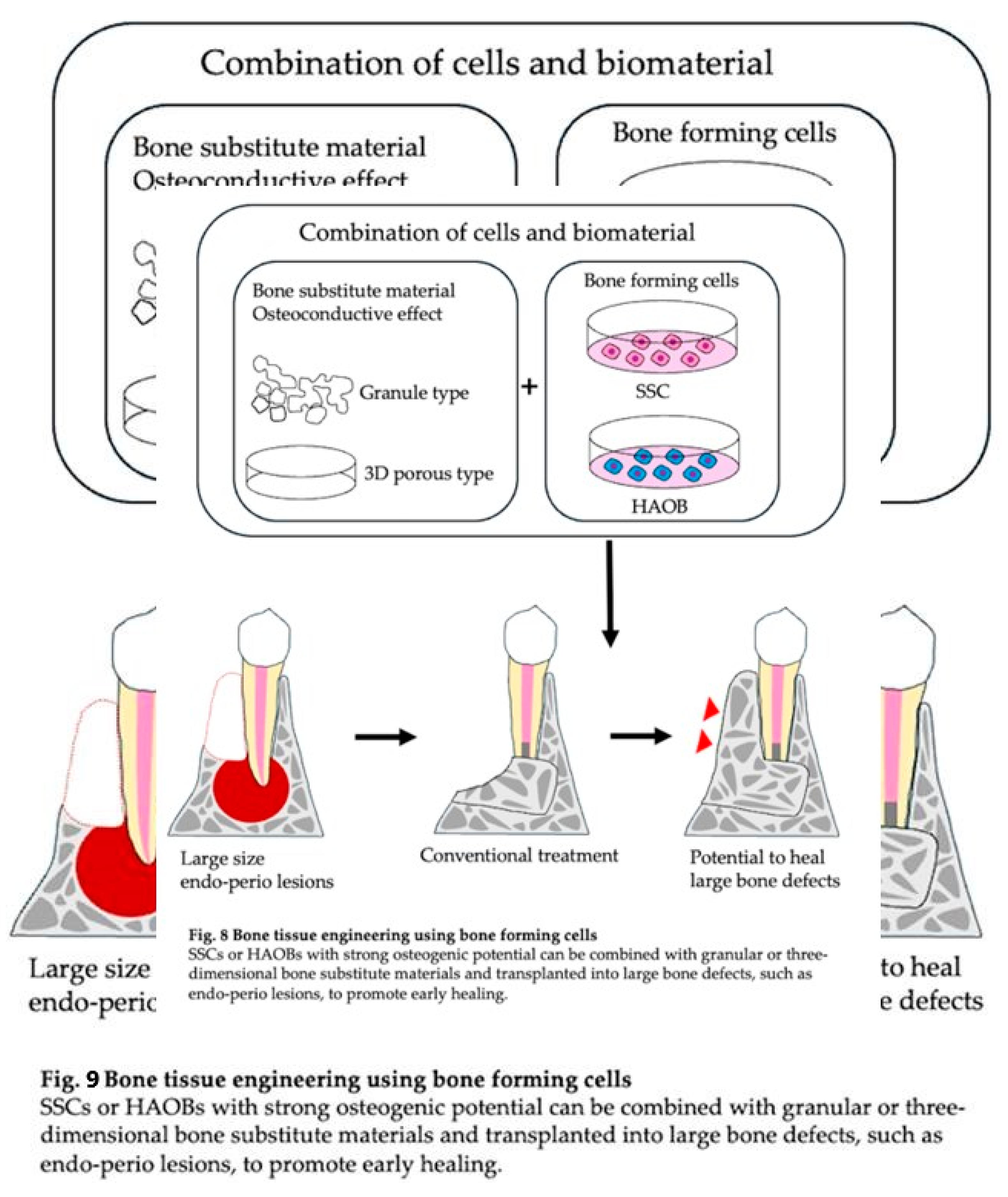 Preprints 148323 i009