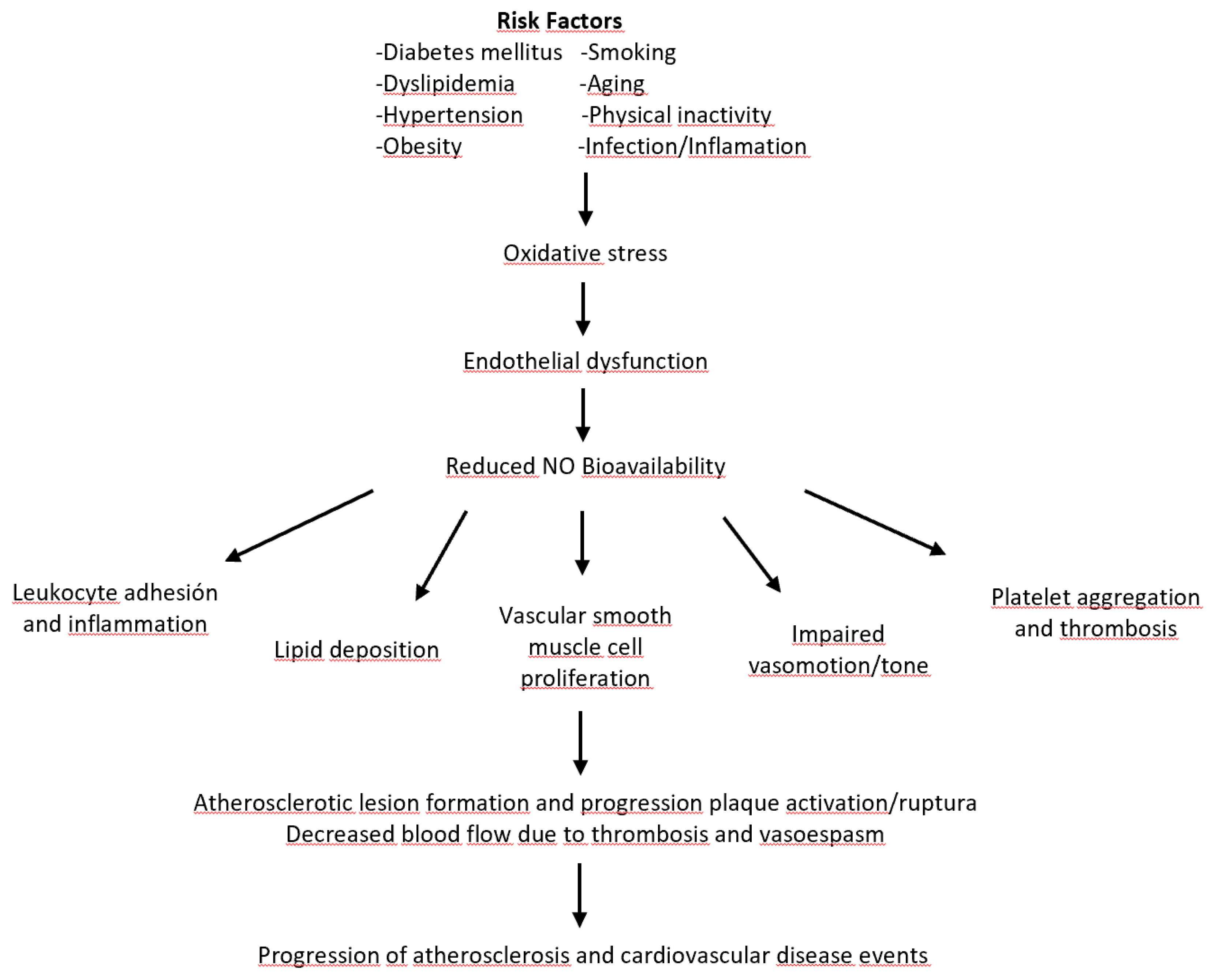 Preprints 193665 g001