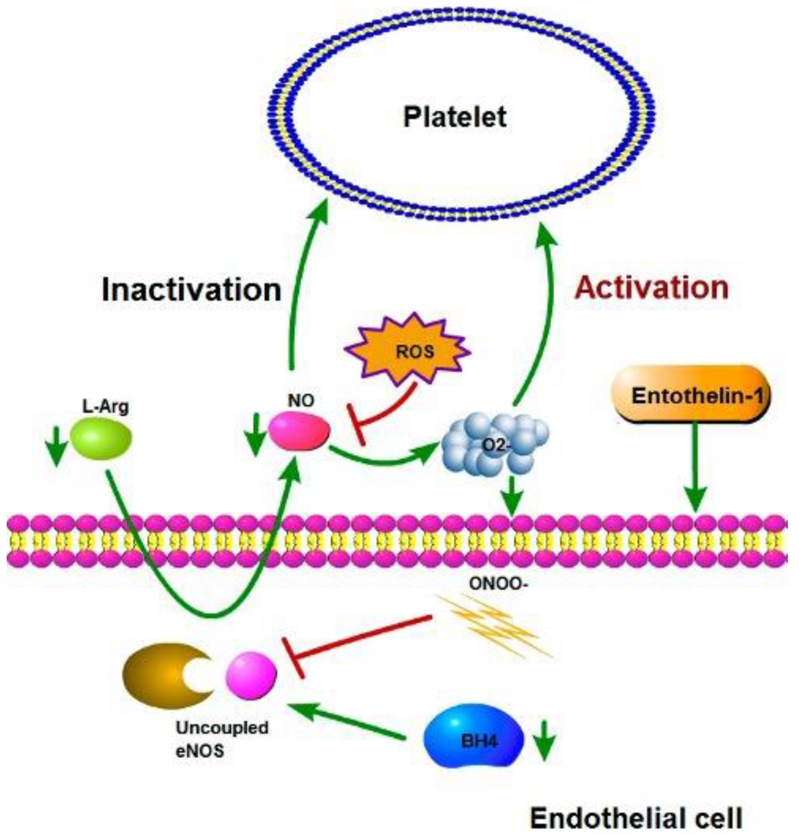 Preprints 193665 g004