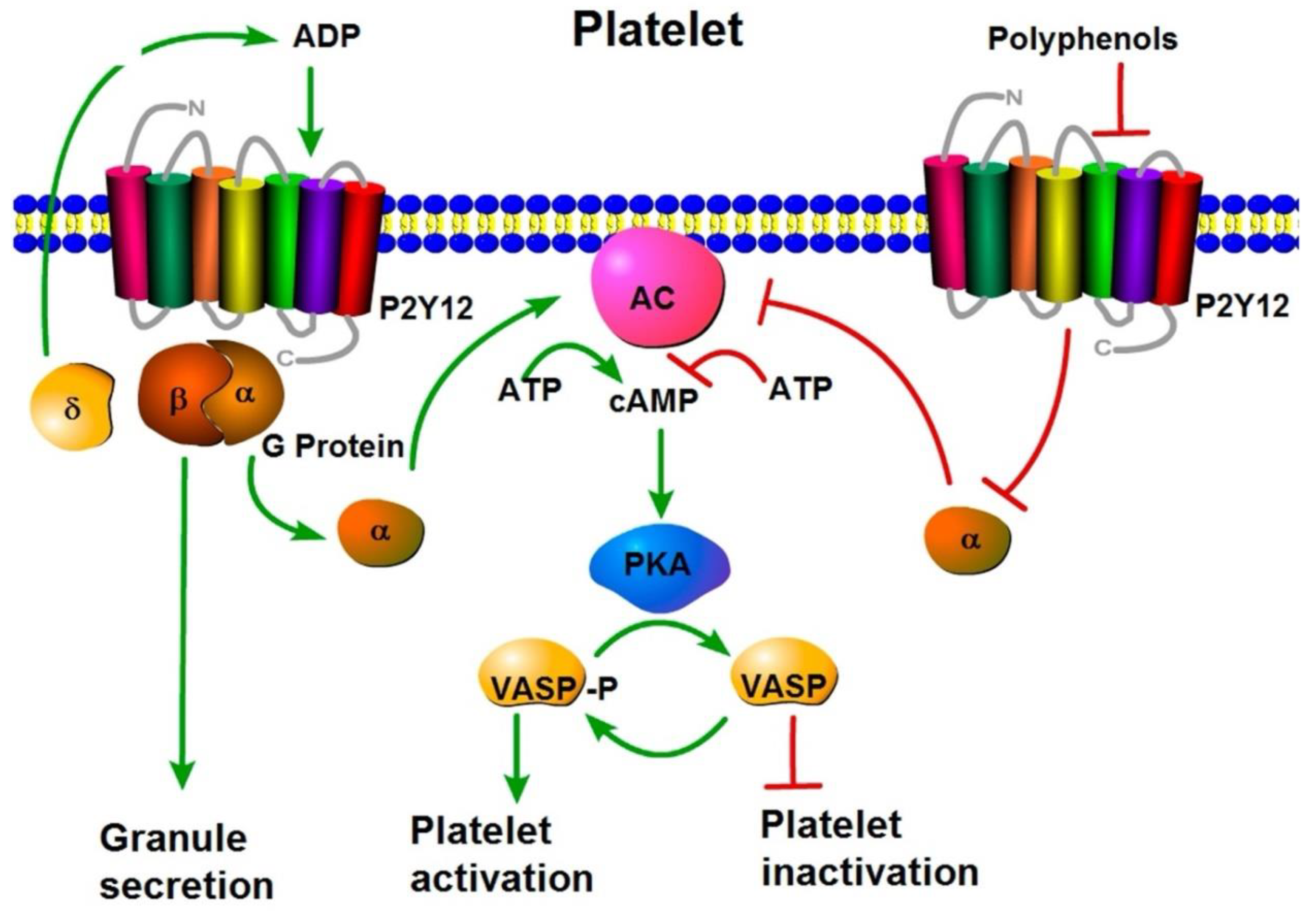 Preprints 193665 g005