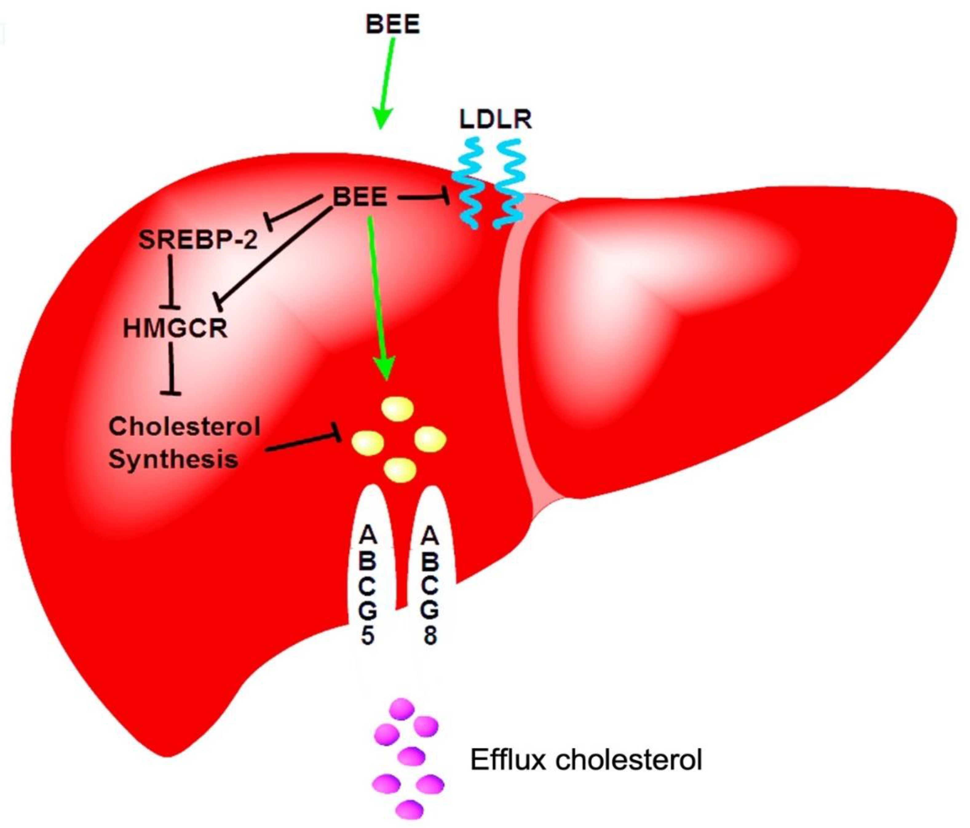 Preprints 193665 g006