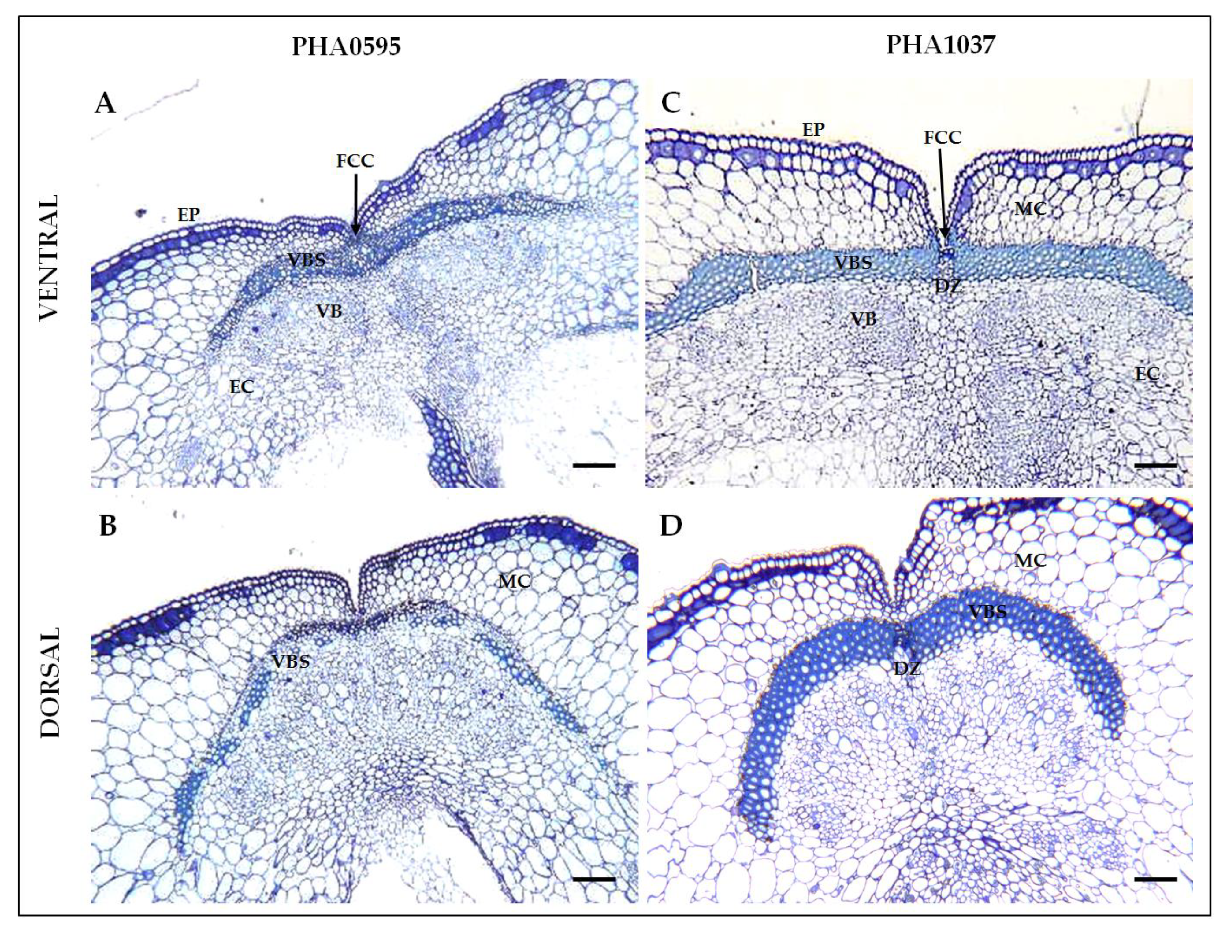Preprints 73516 g002