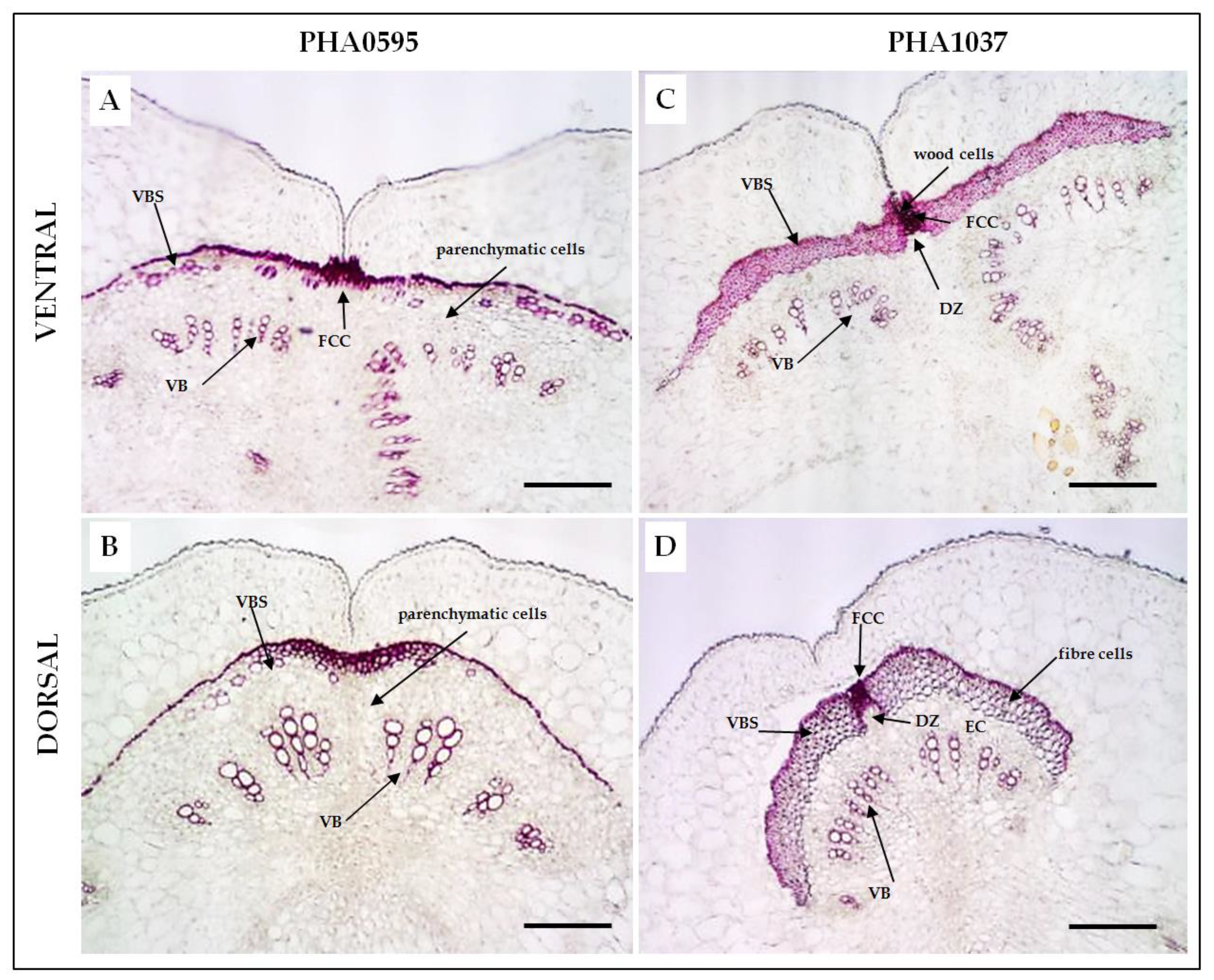 Preprints 73516 g003
