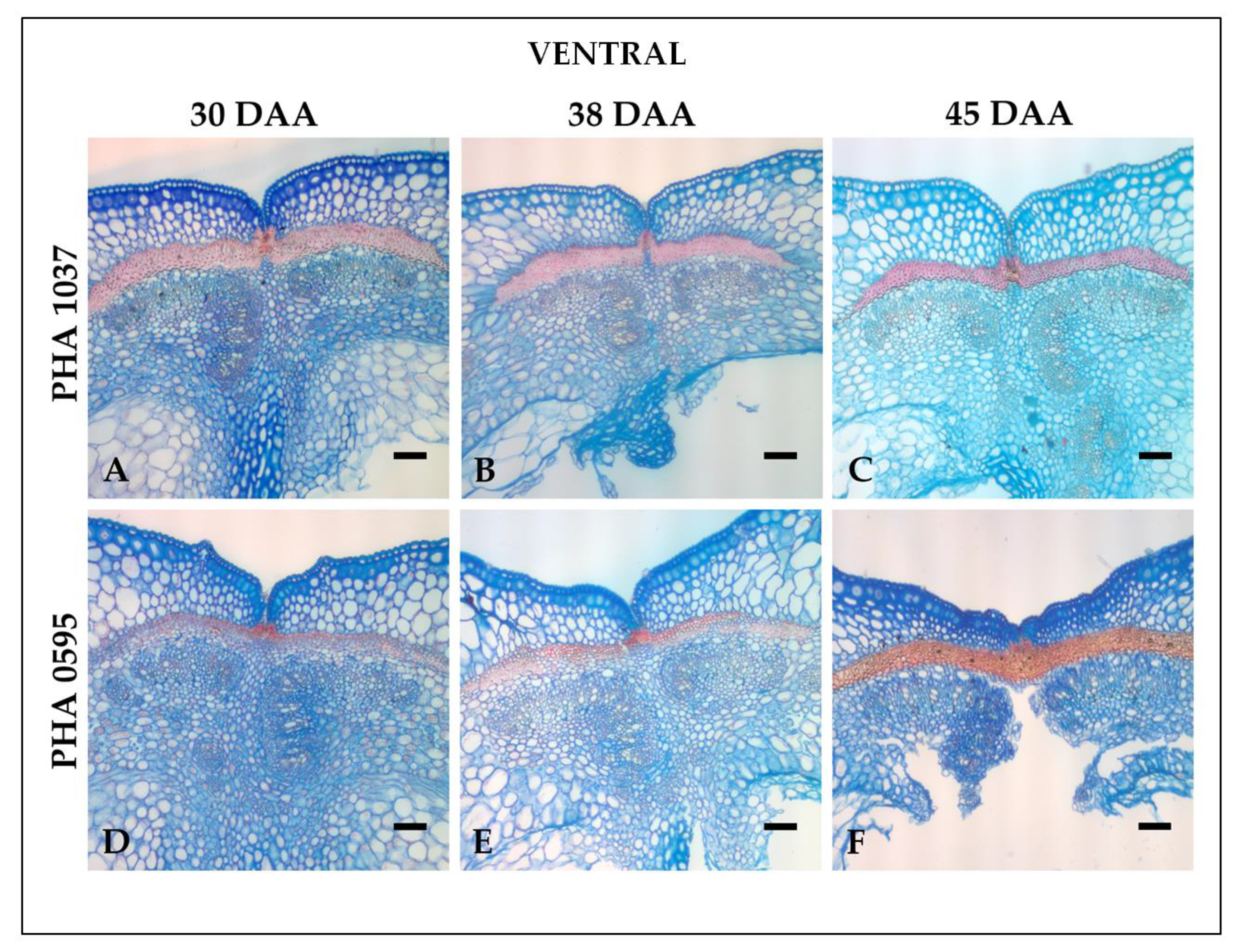 Preprints 73516 g004a
