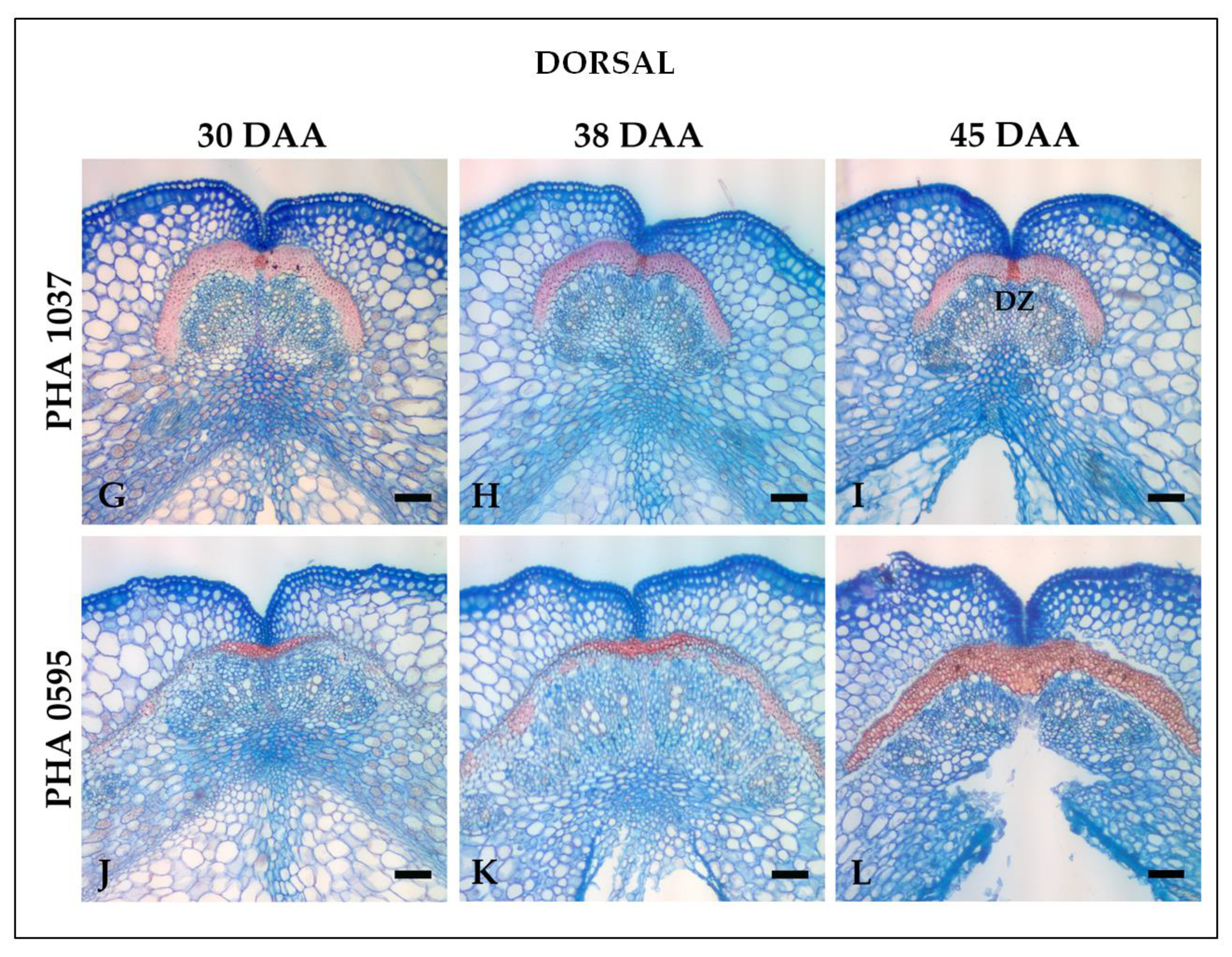 Preprints 73516 g004b