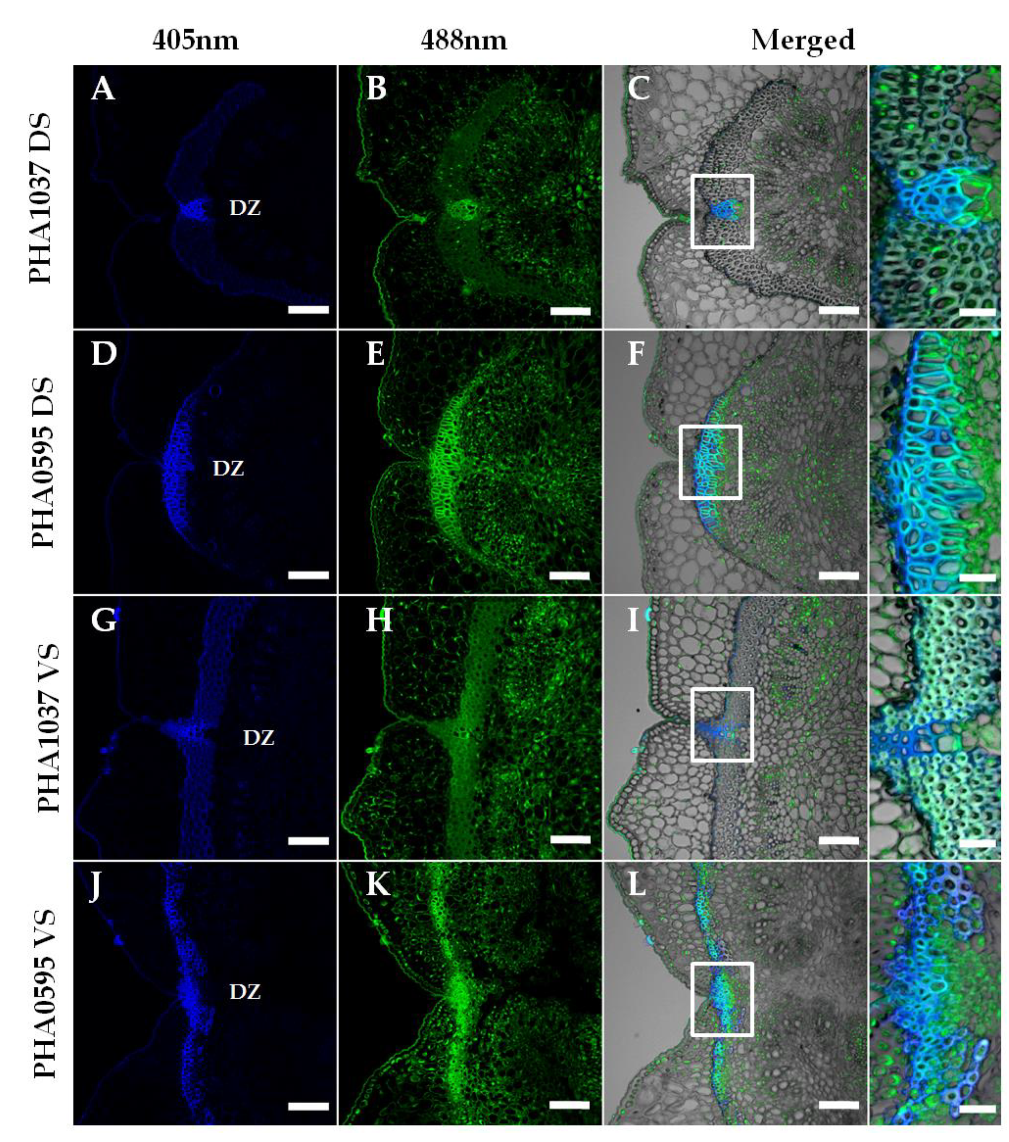 Preprints 73516 g005