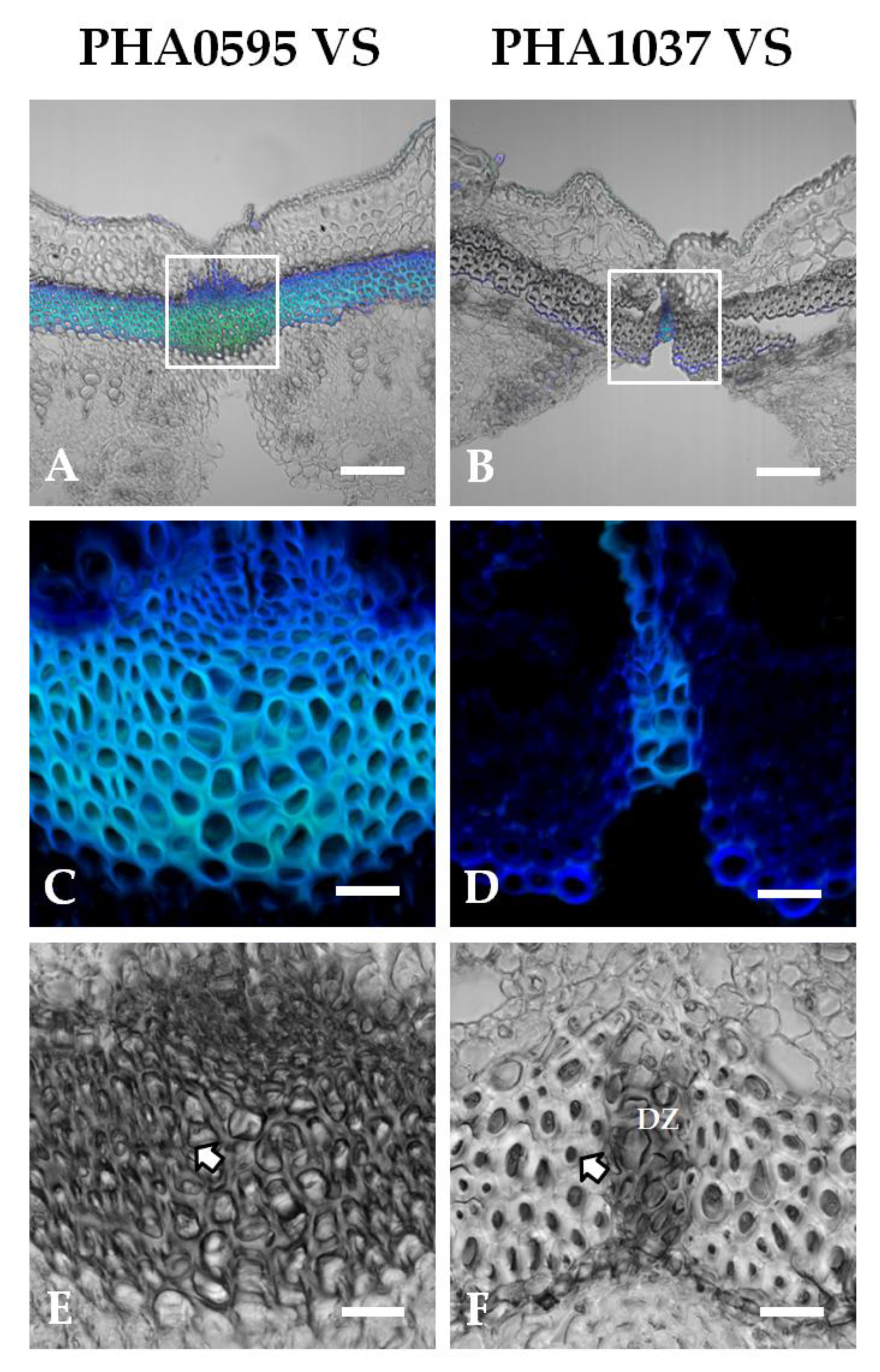 Preprints 73516 g006