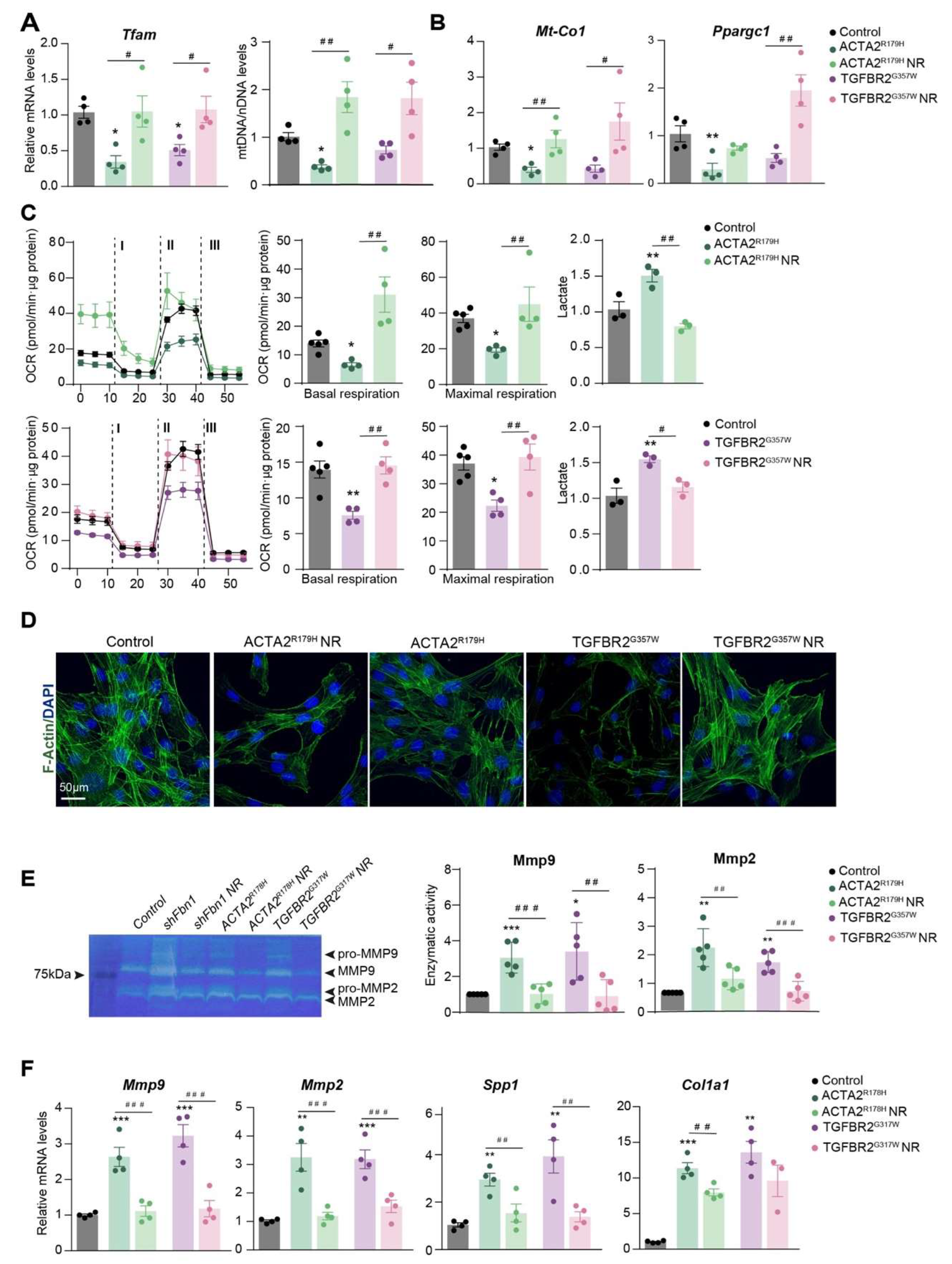Preprints 149017 g001