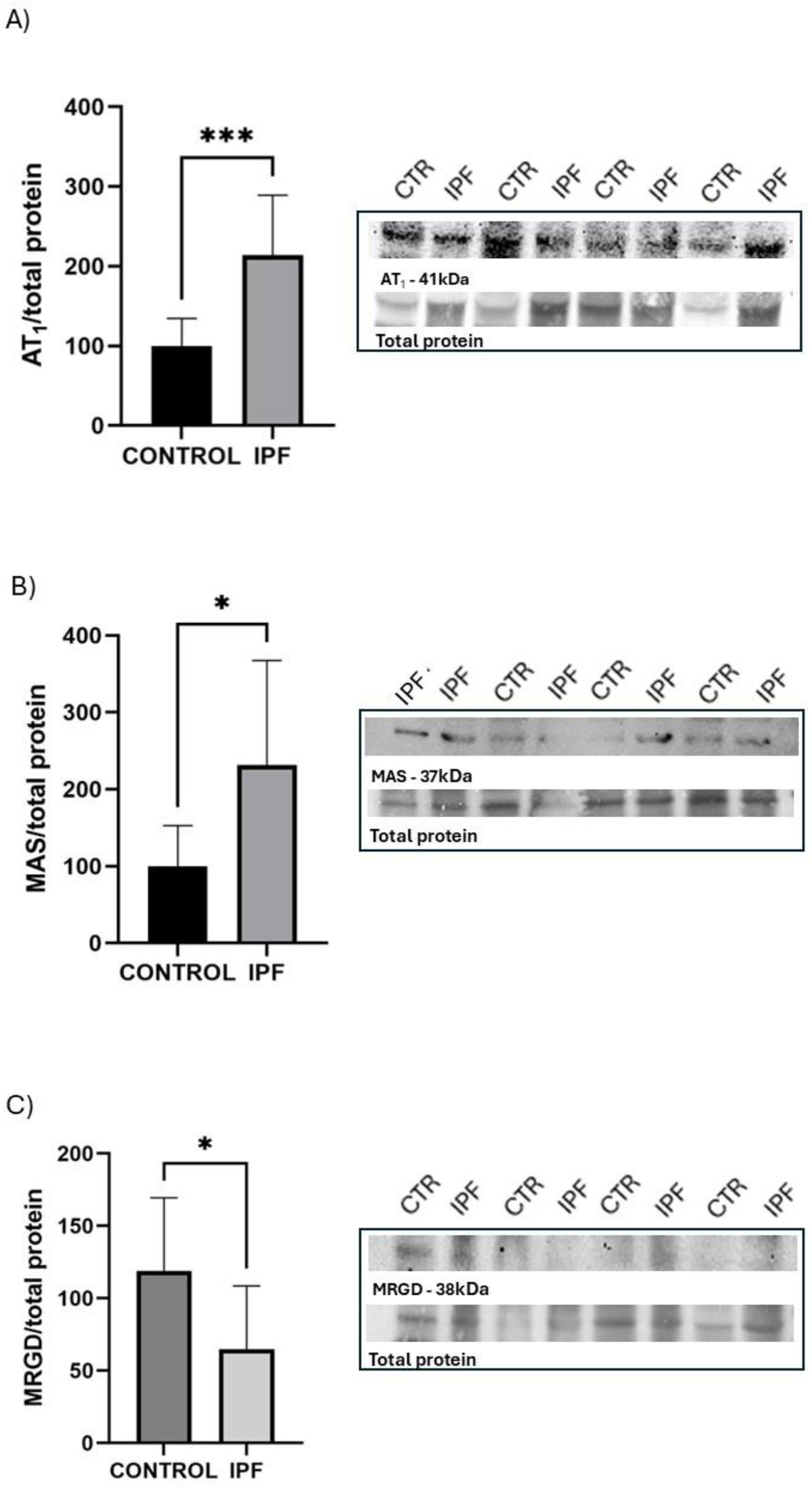 Preprints 173080 g001