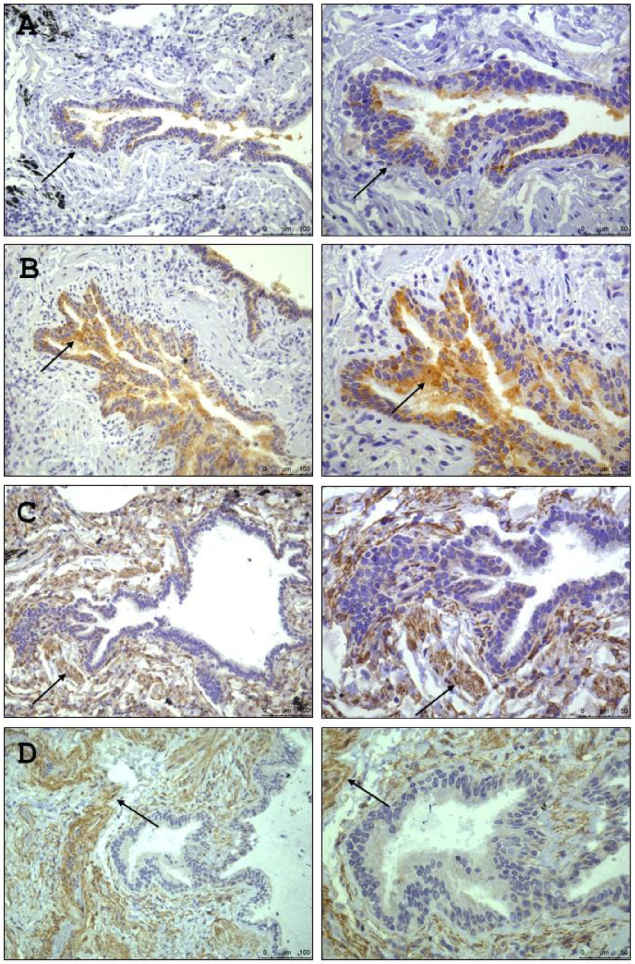 Preprints 173080 g002