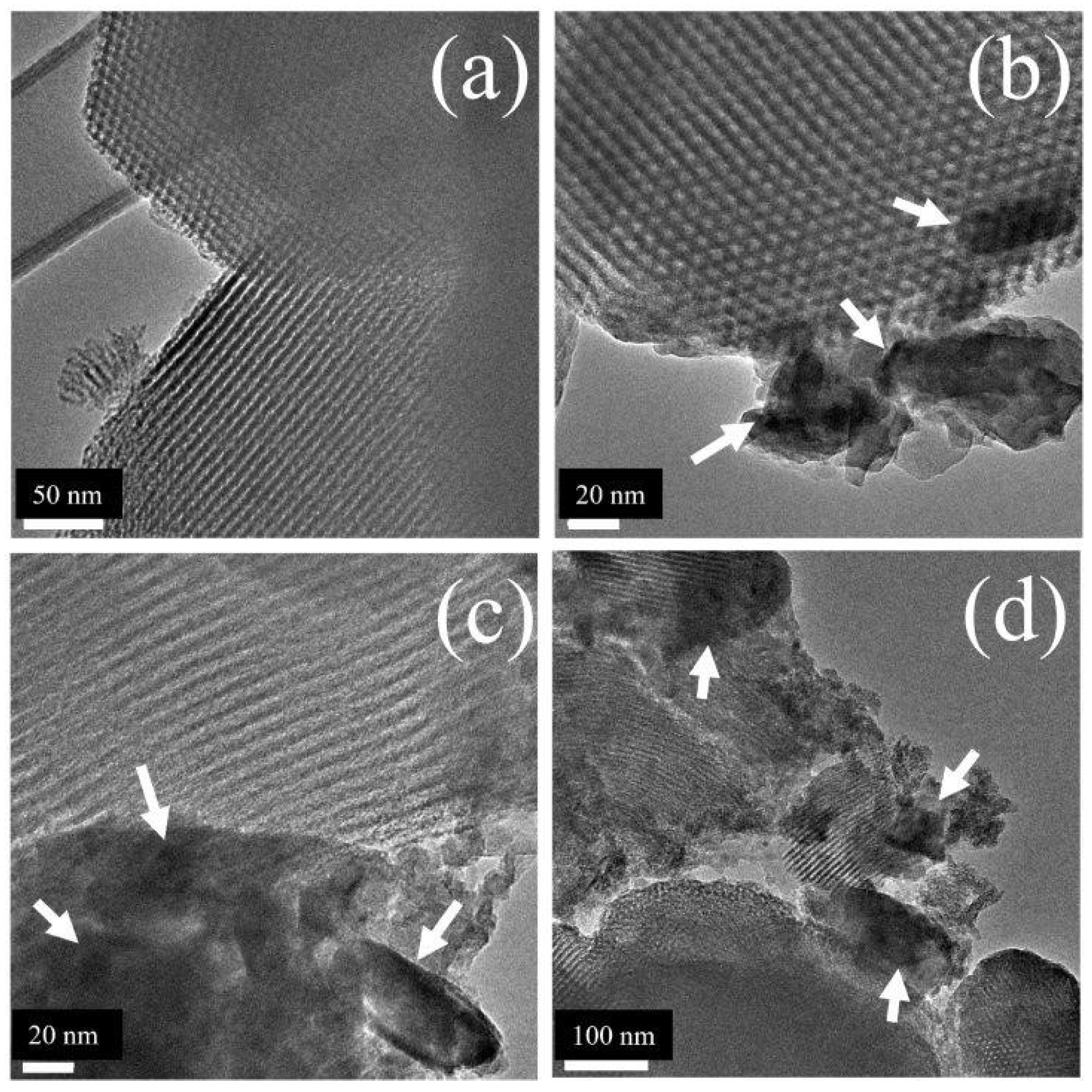 Preprints 138088 g003