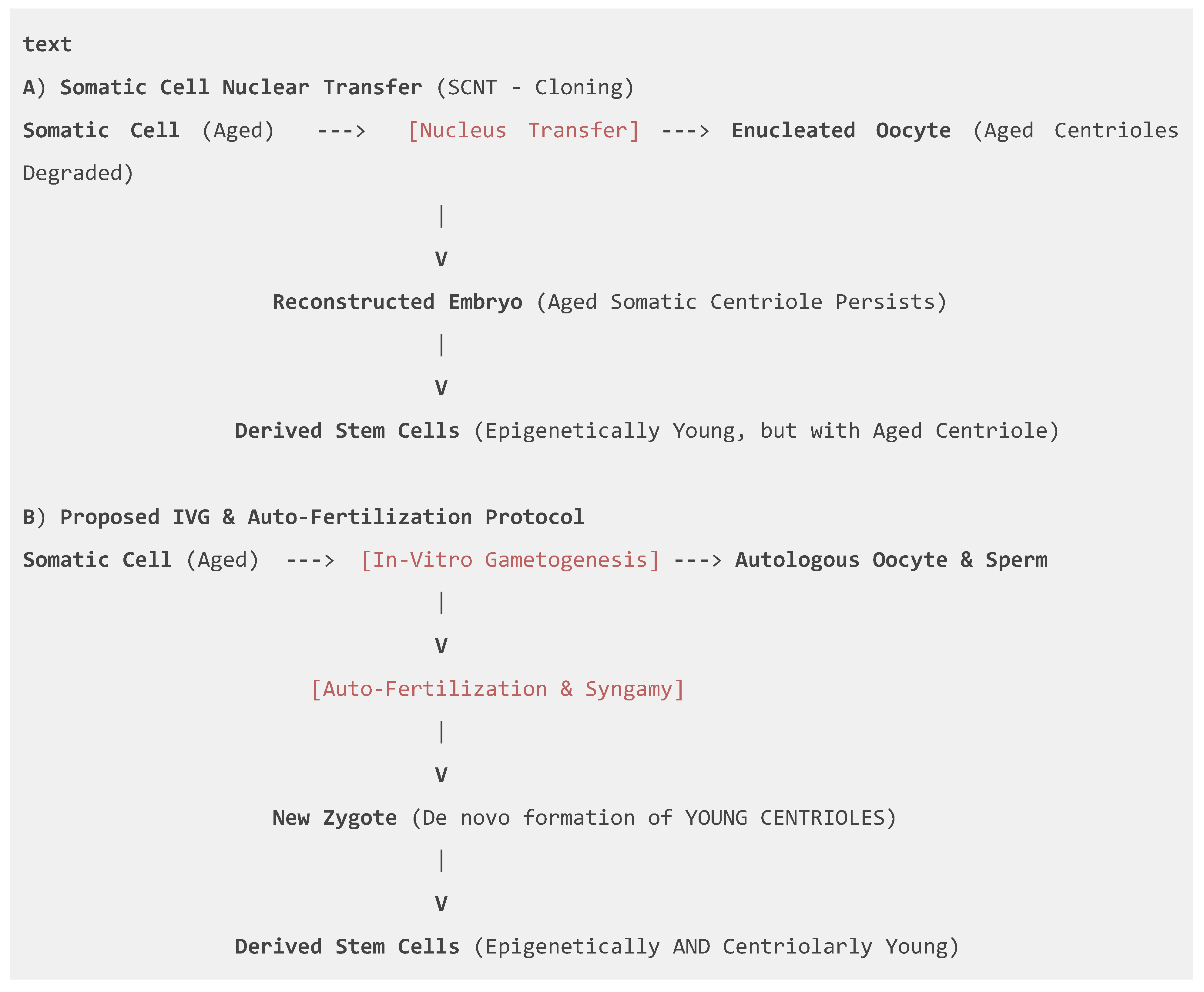 Preprints 186093 g002