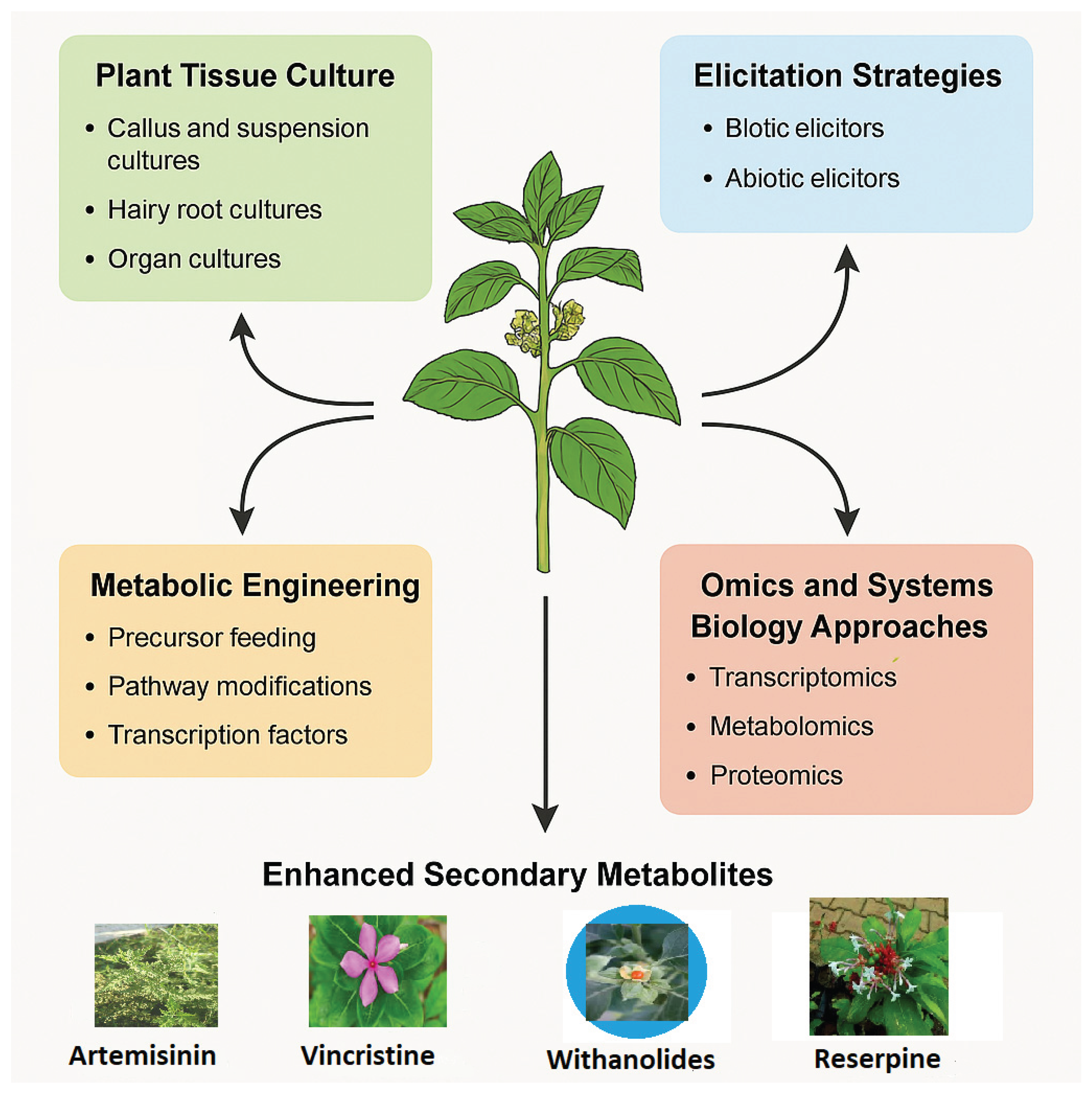 Preprints 170623 g001