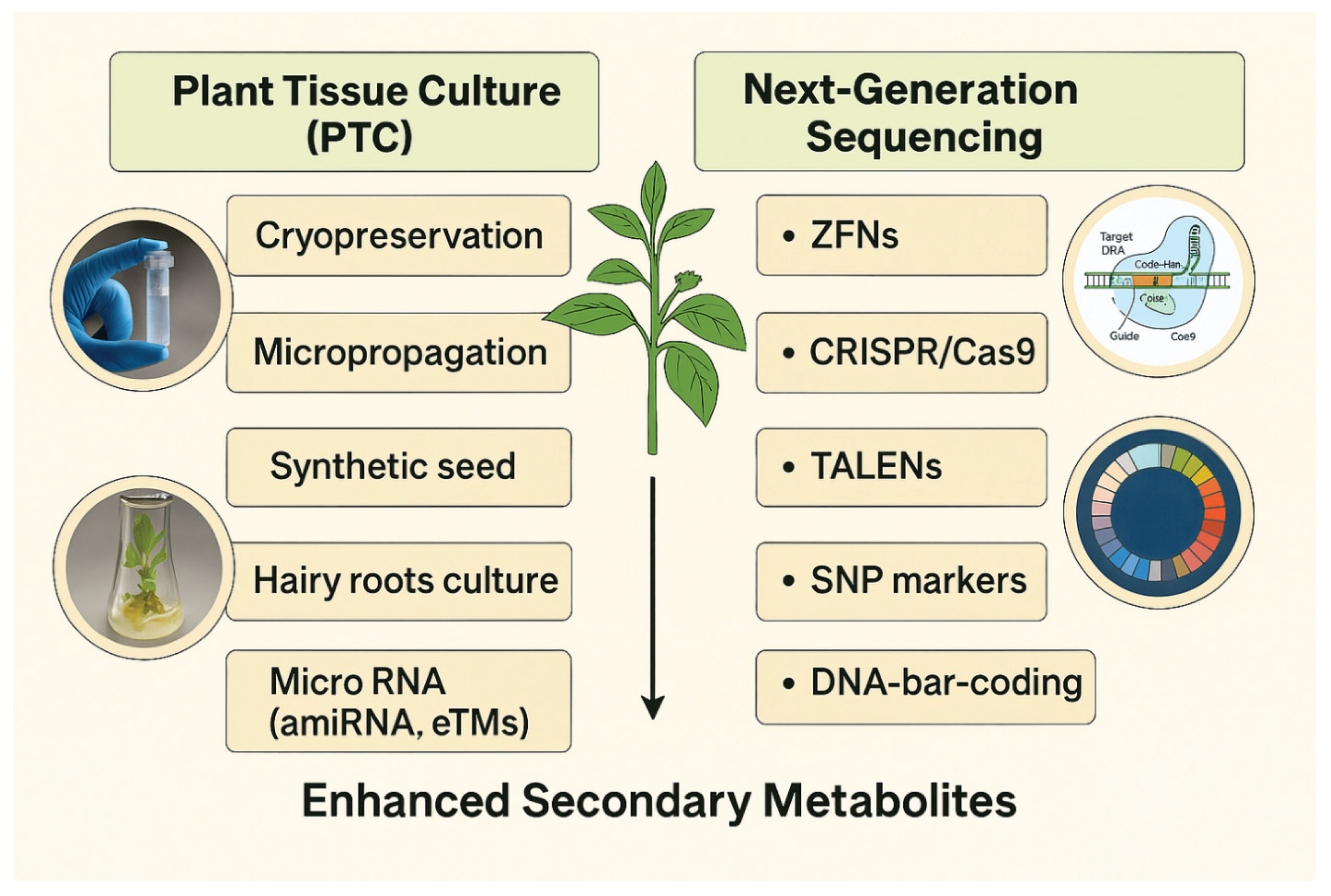 Preprints 170623 g002