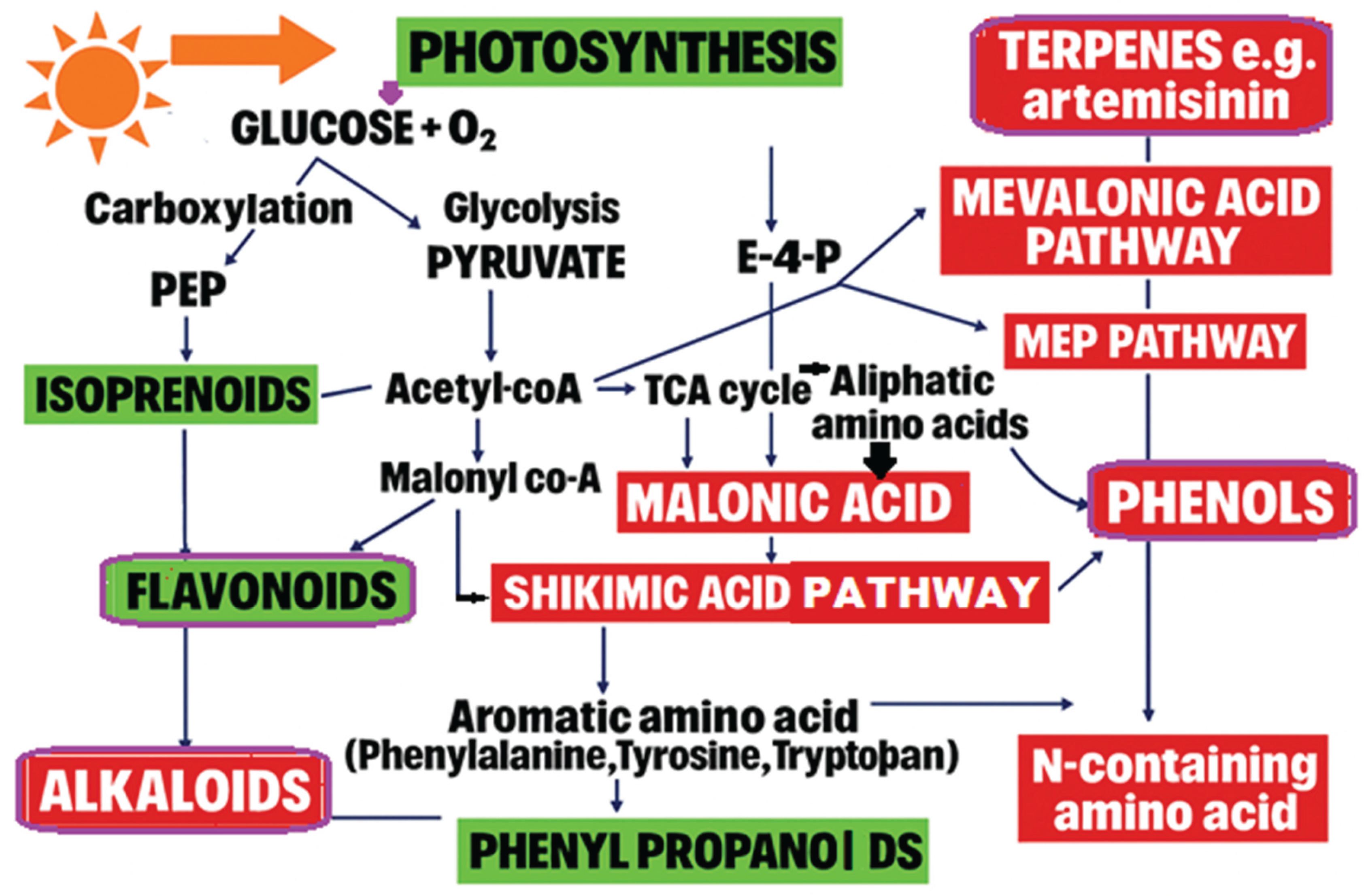 Preprints 170623 g003