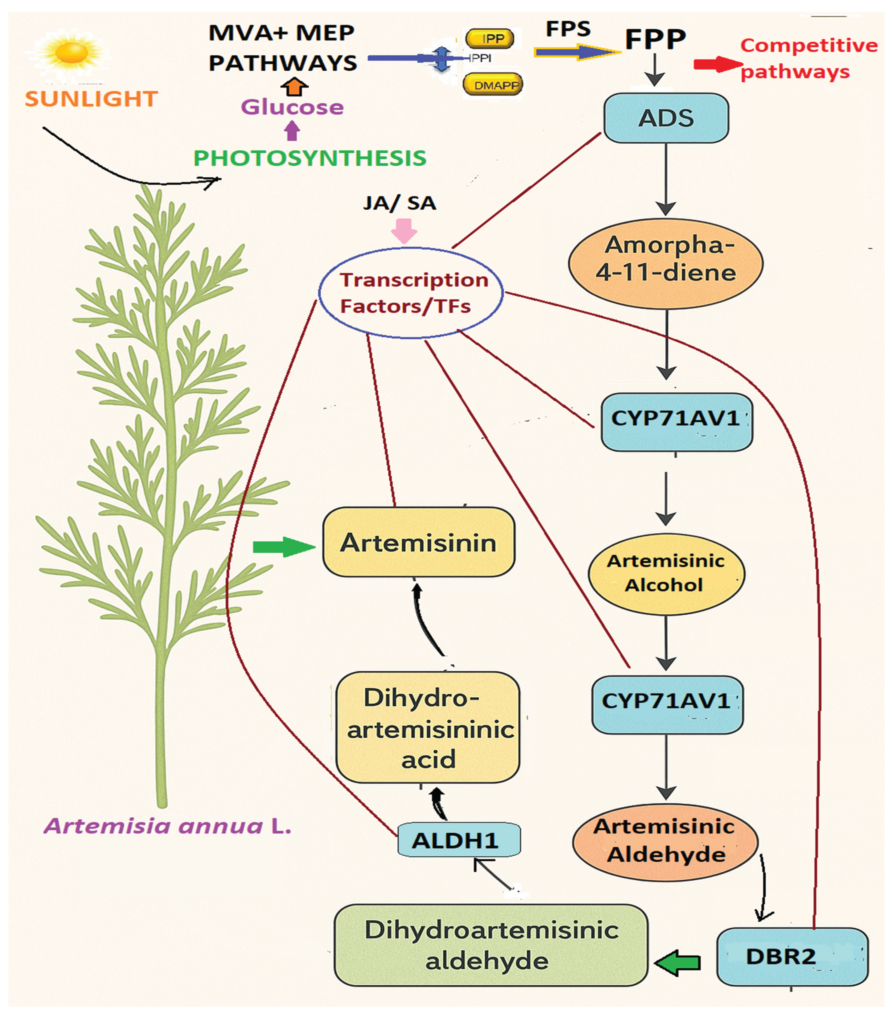 Preprints 170623 g005