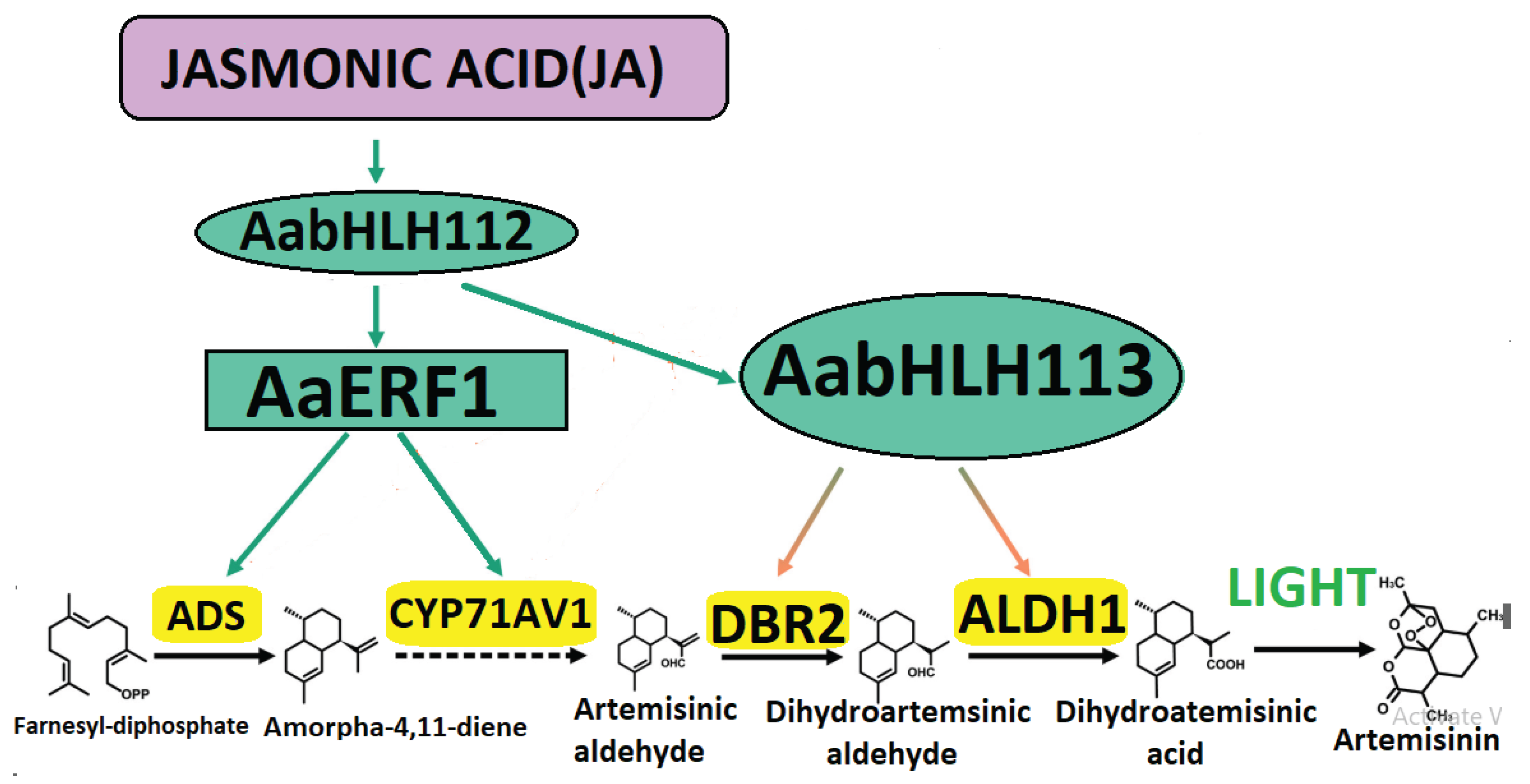 Preprints 170623 g006