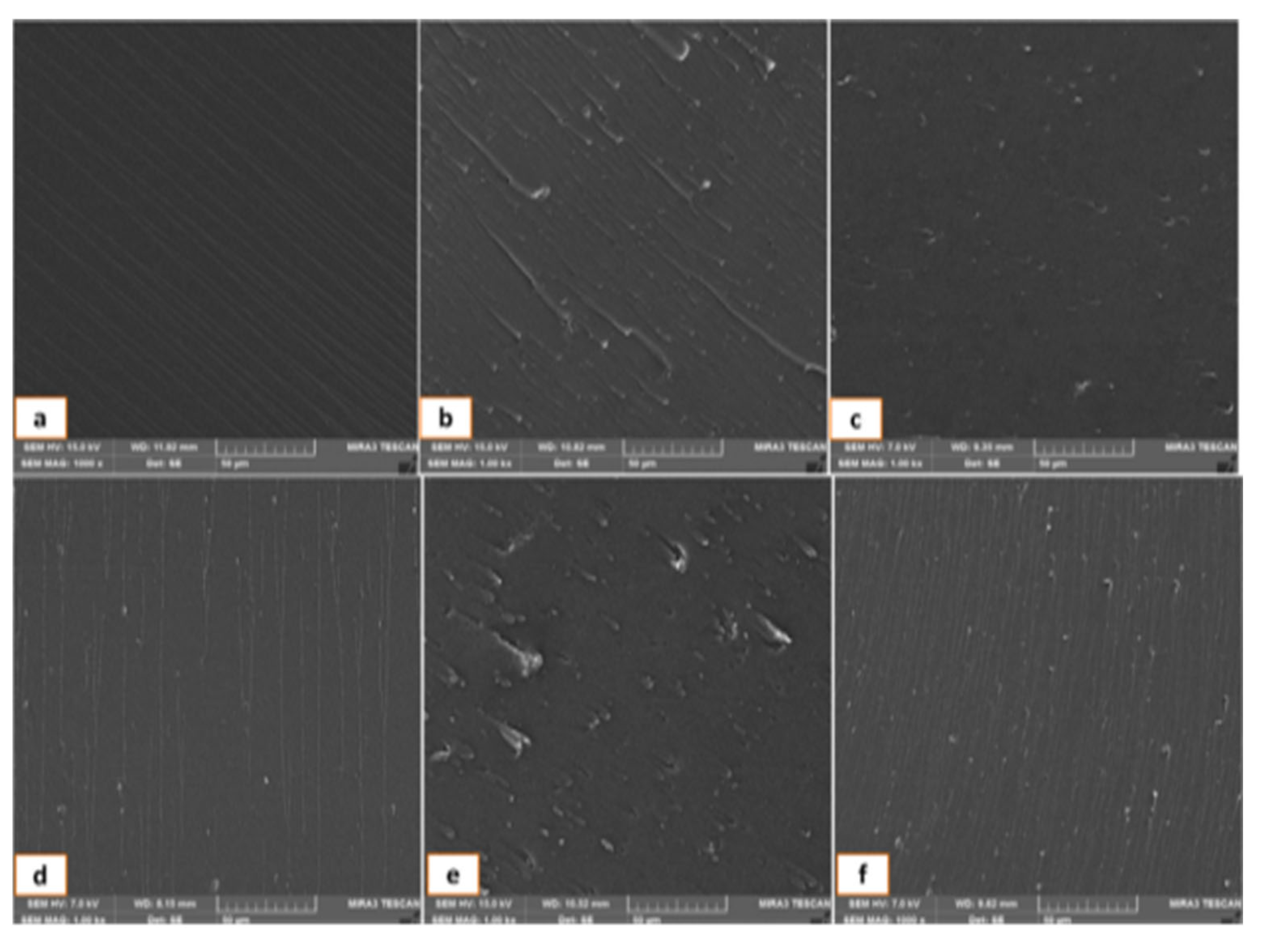 Preprints 113232 g002