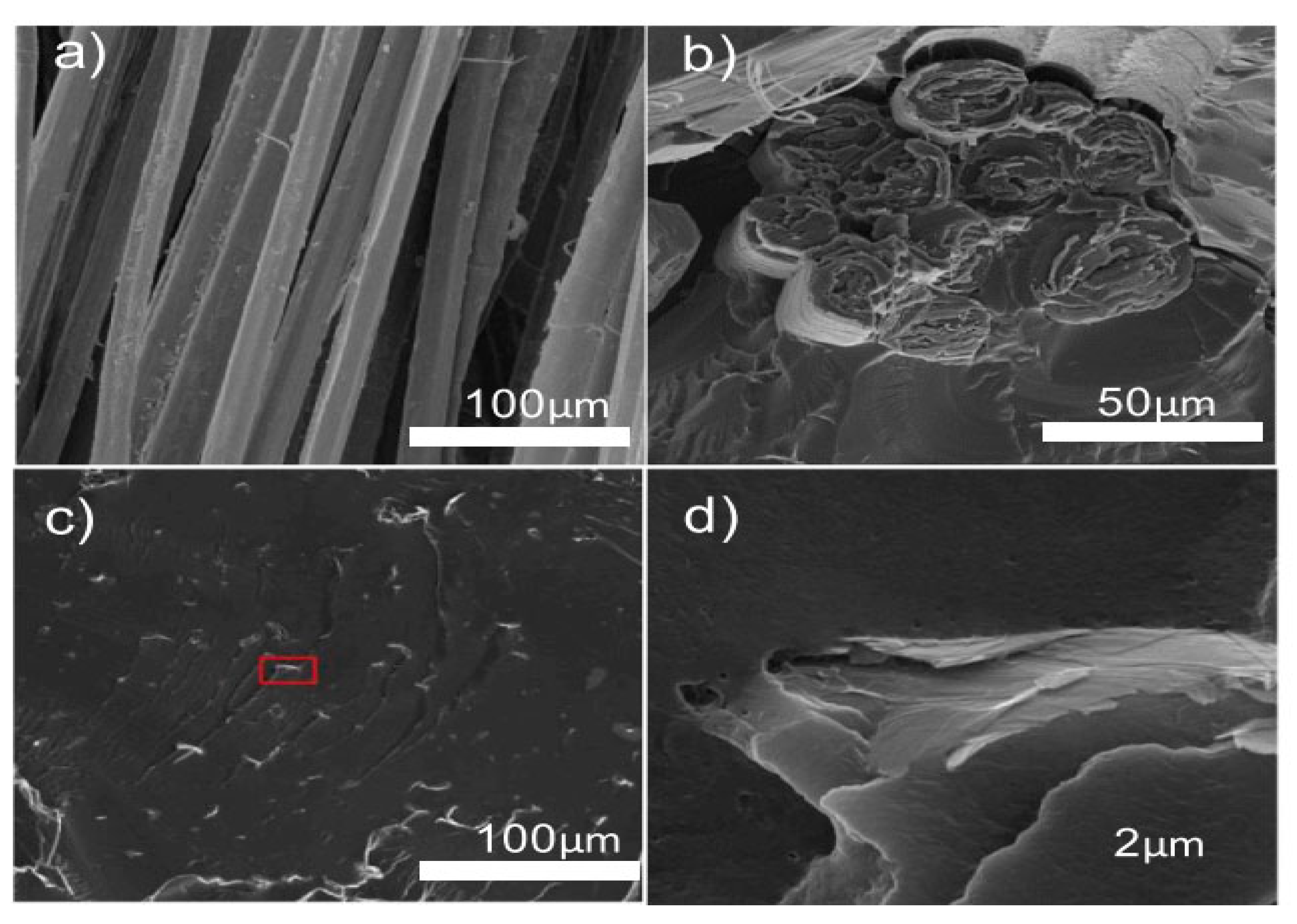 Preprints 113232 g004