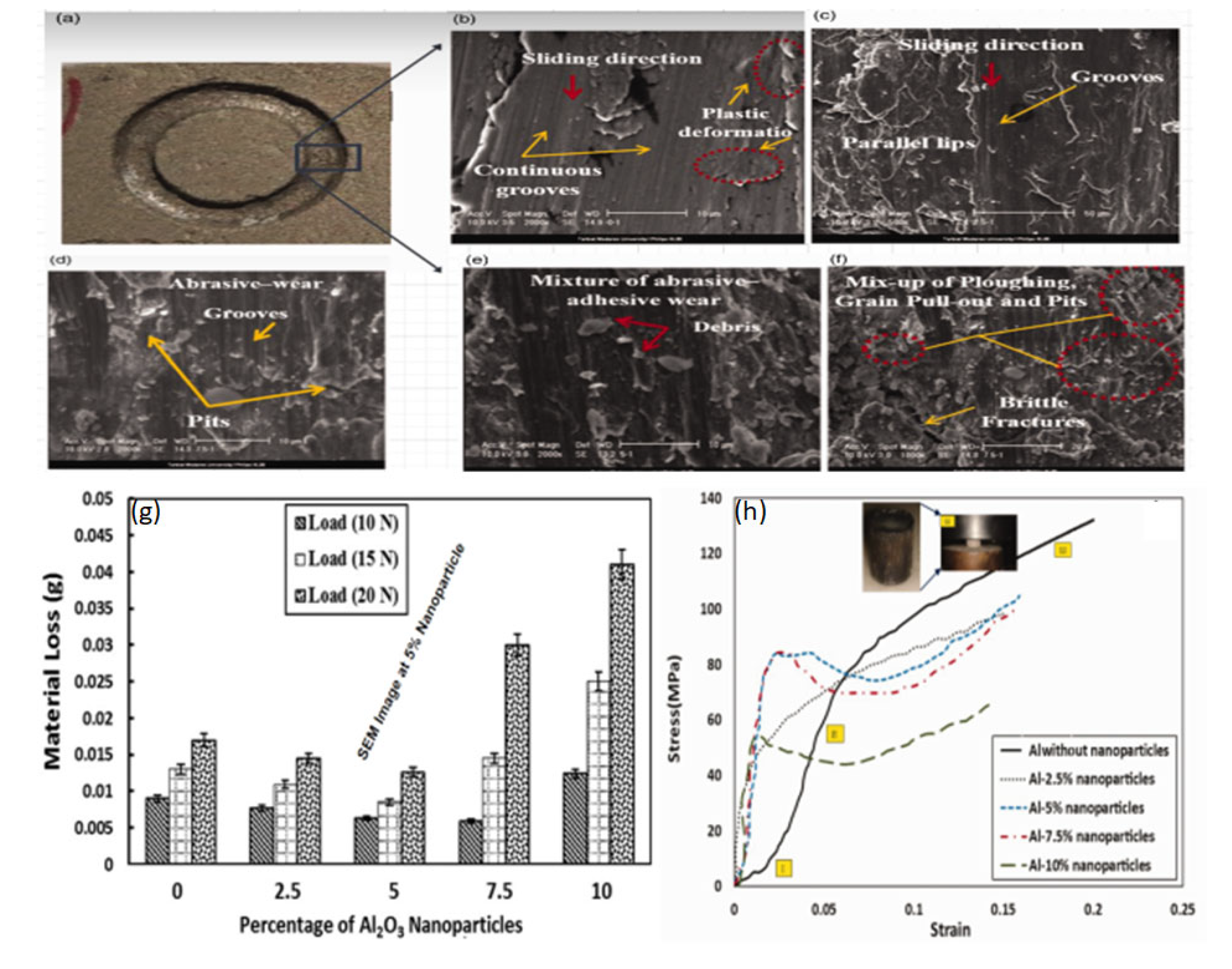 Preprints 113232 g005