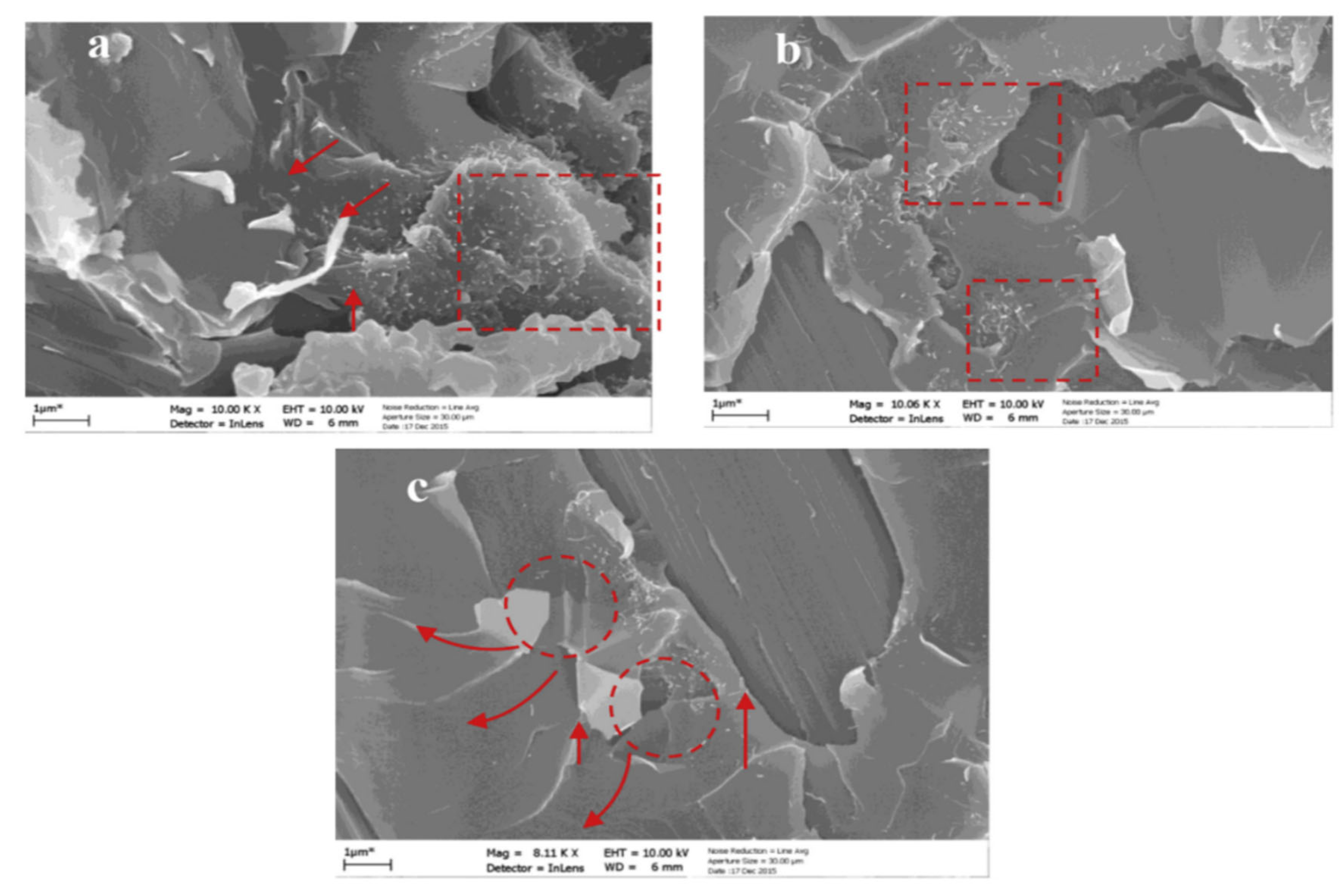 Preprints 113232 g007