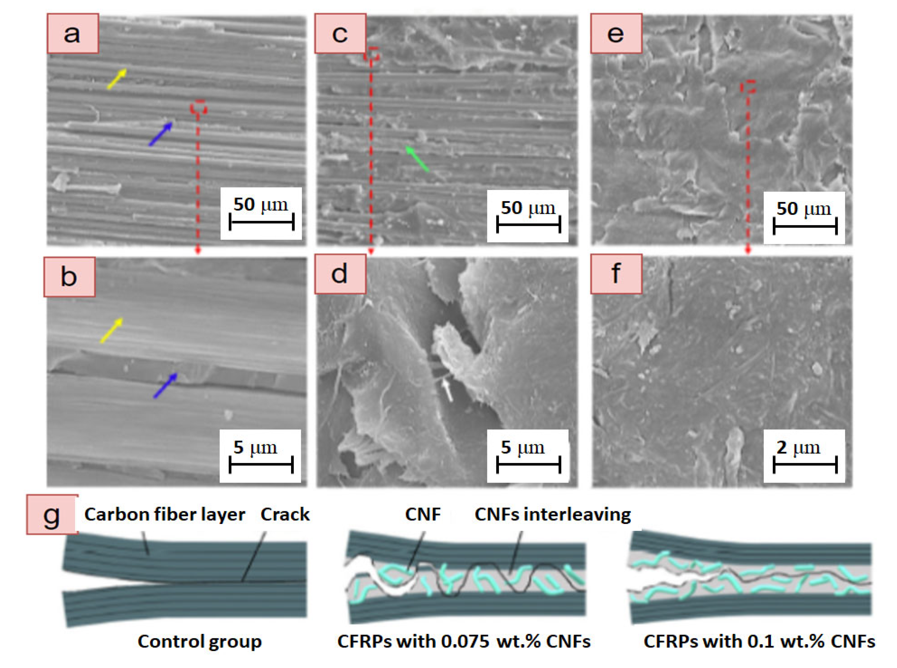 Preprints 113232 g009