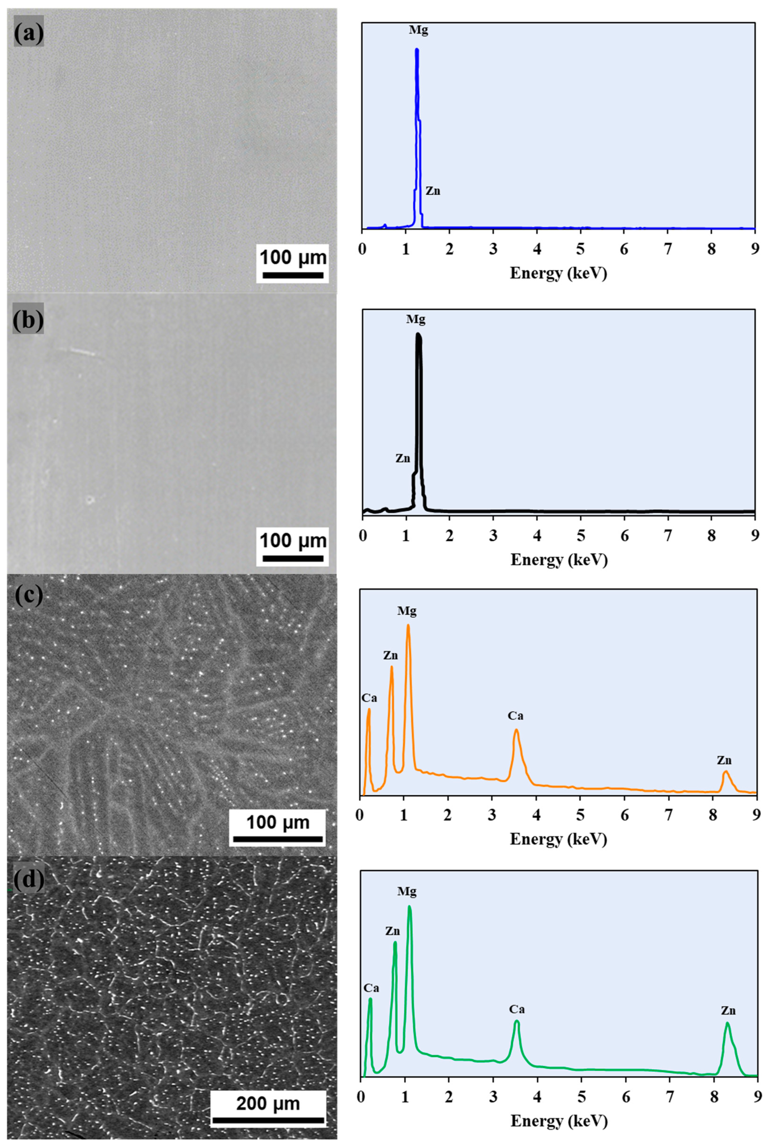Preprints 230611 g003