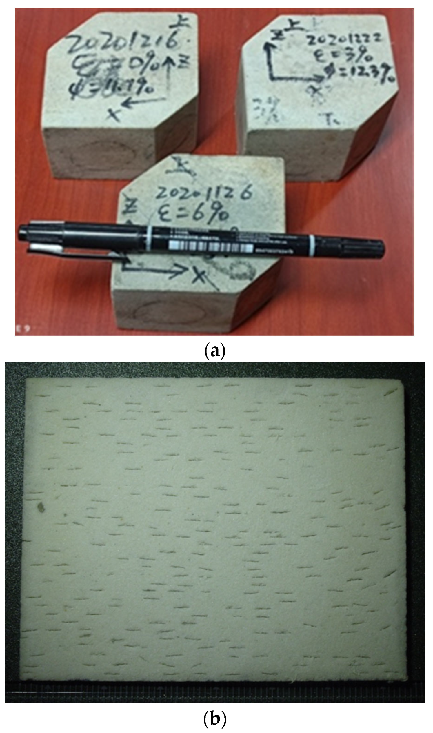 Preprints 75861 g001a