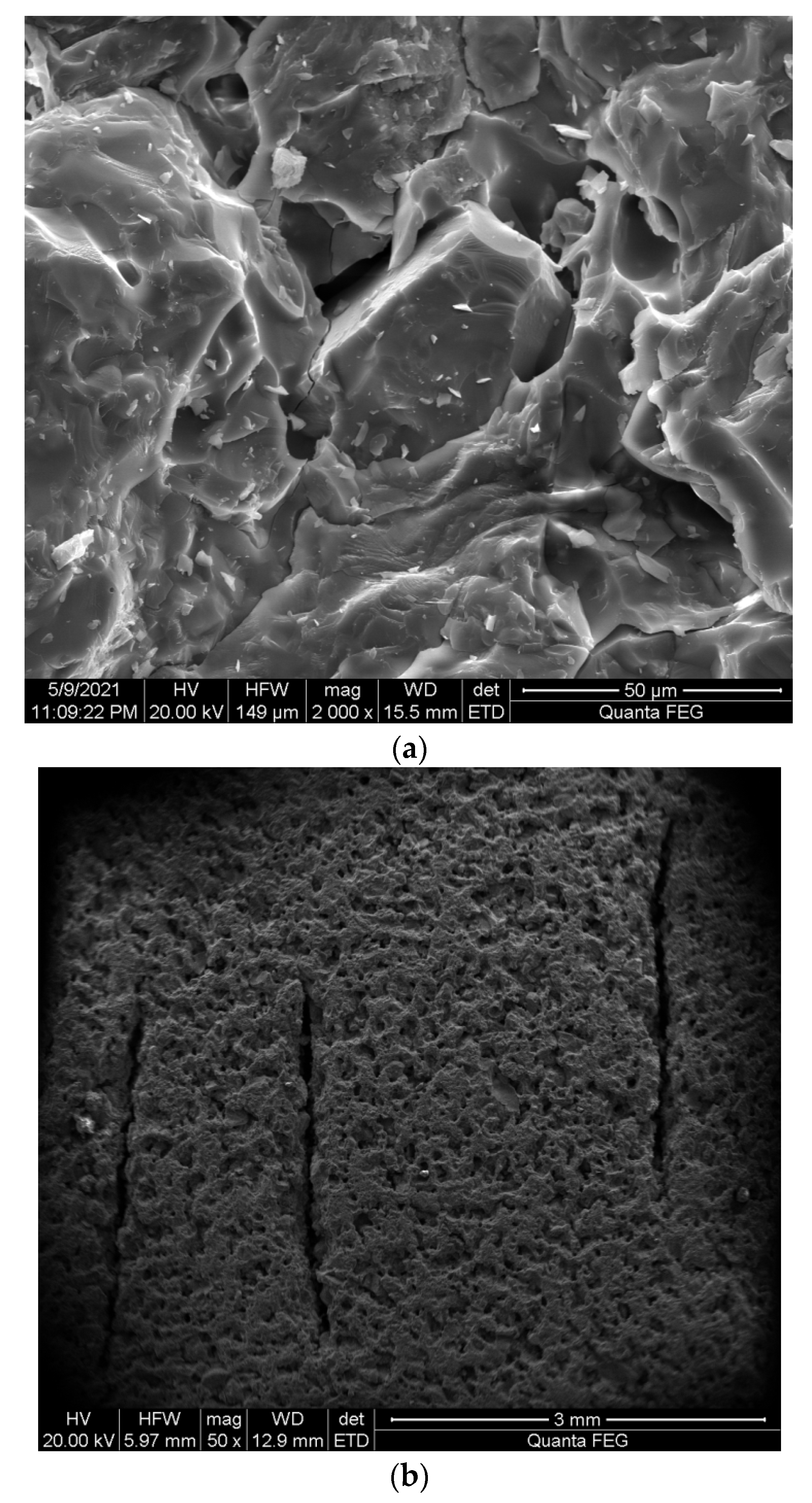 Preprints 75861 g002