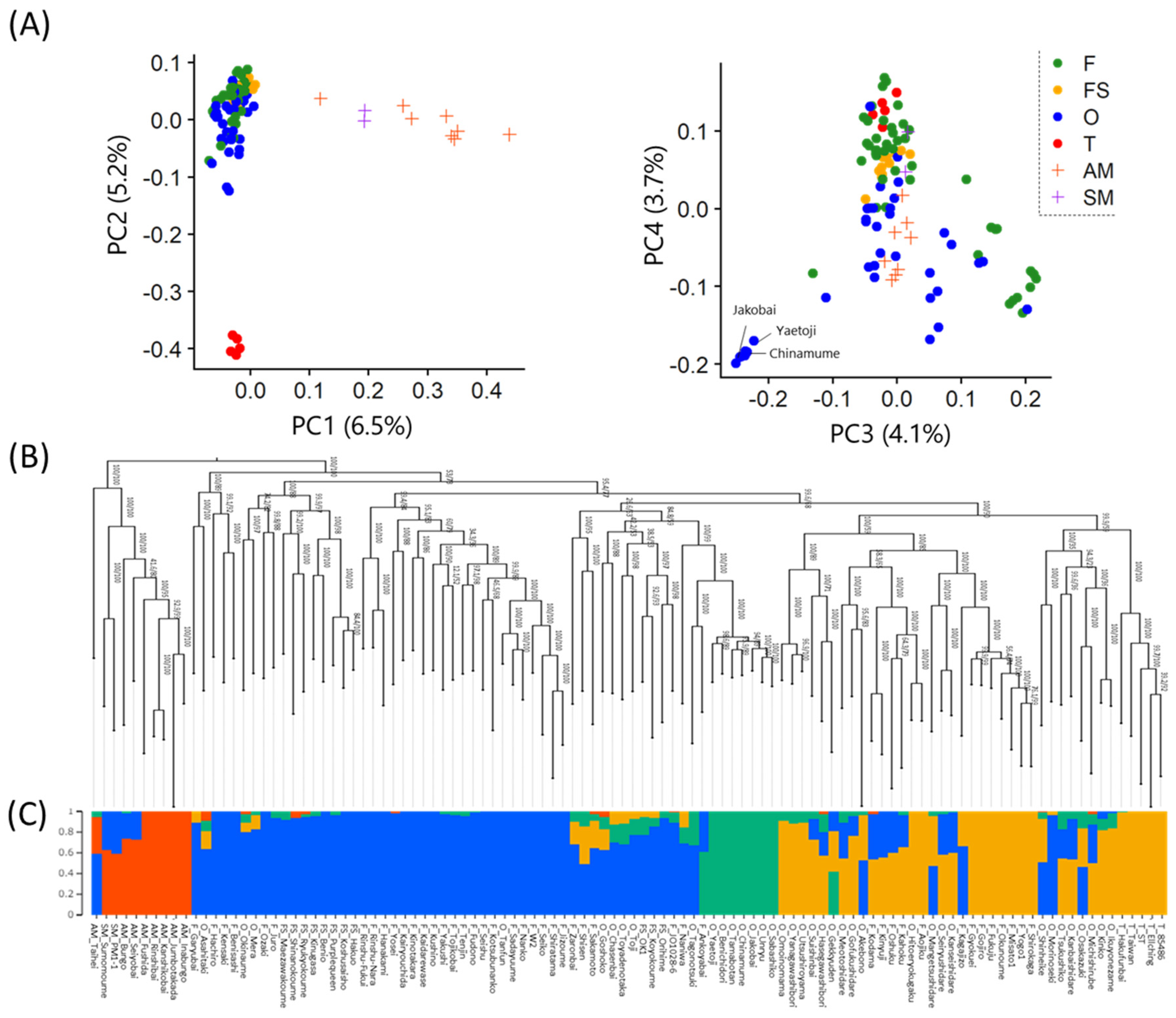 Preprints 73644 g002