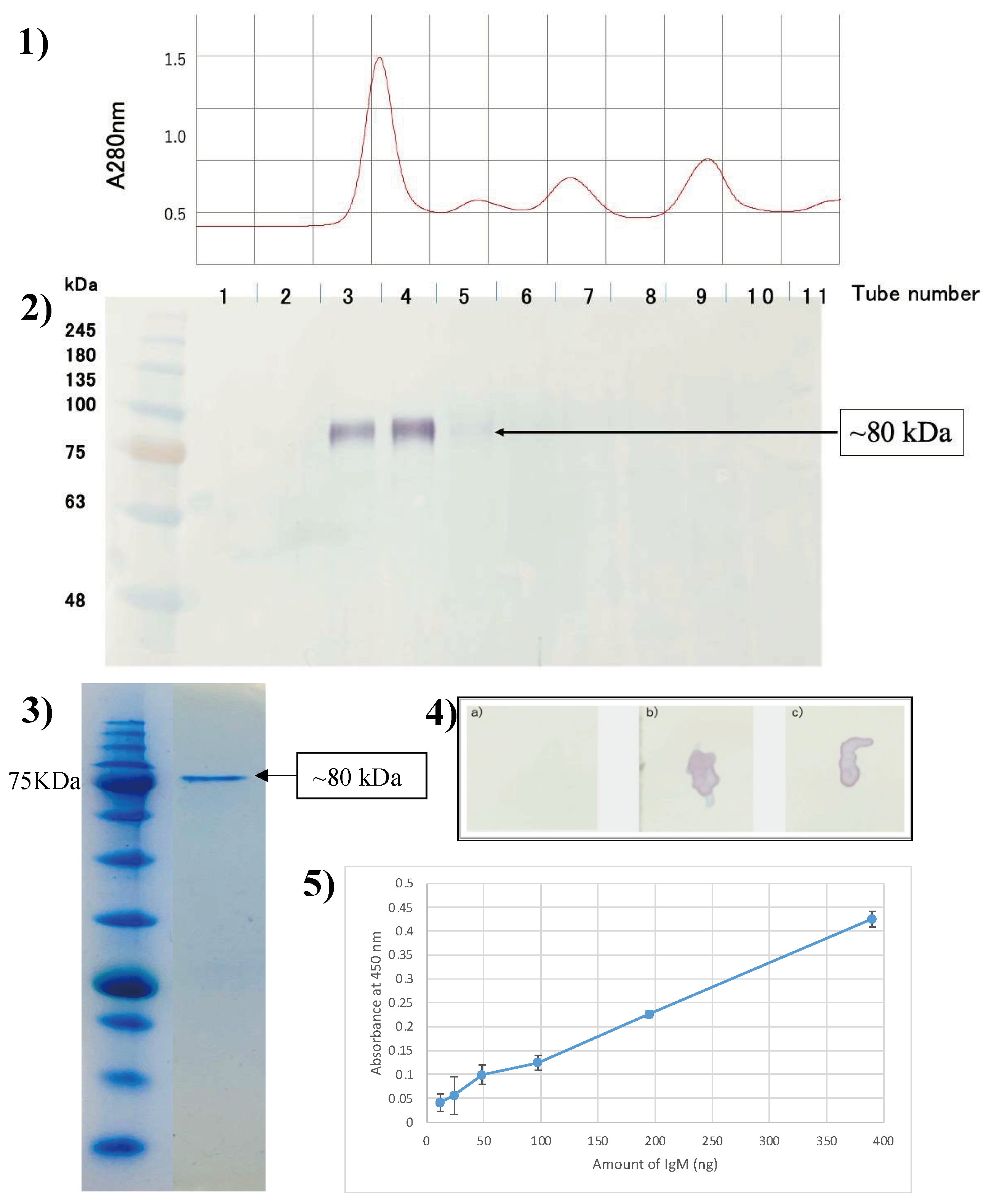 Preprints 150709 g002