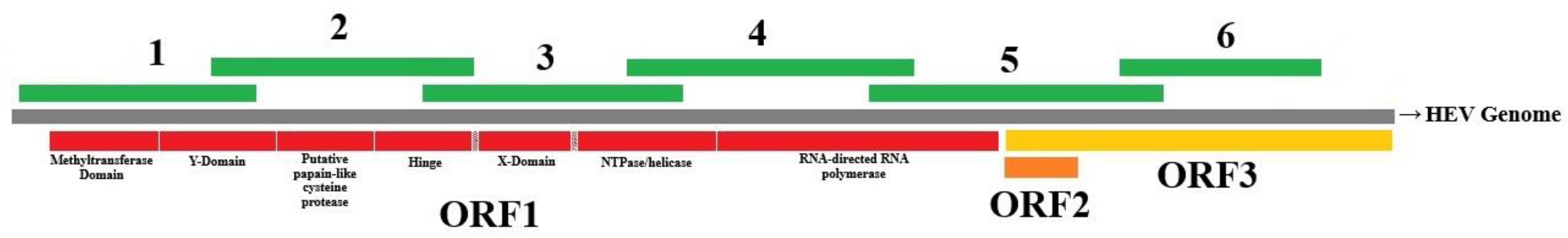 Preprints 205770 g001 Preprints 205770 g001