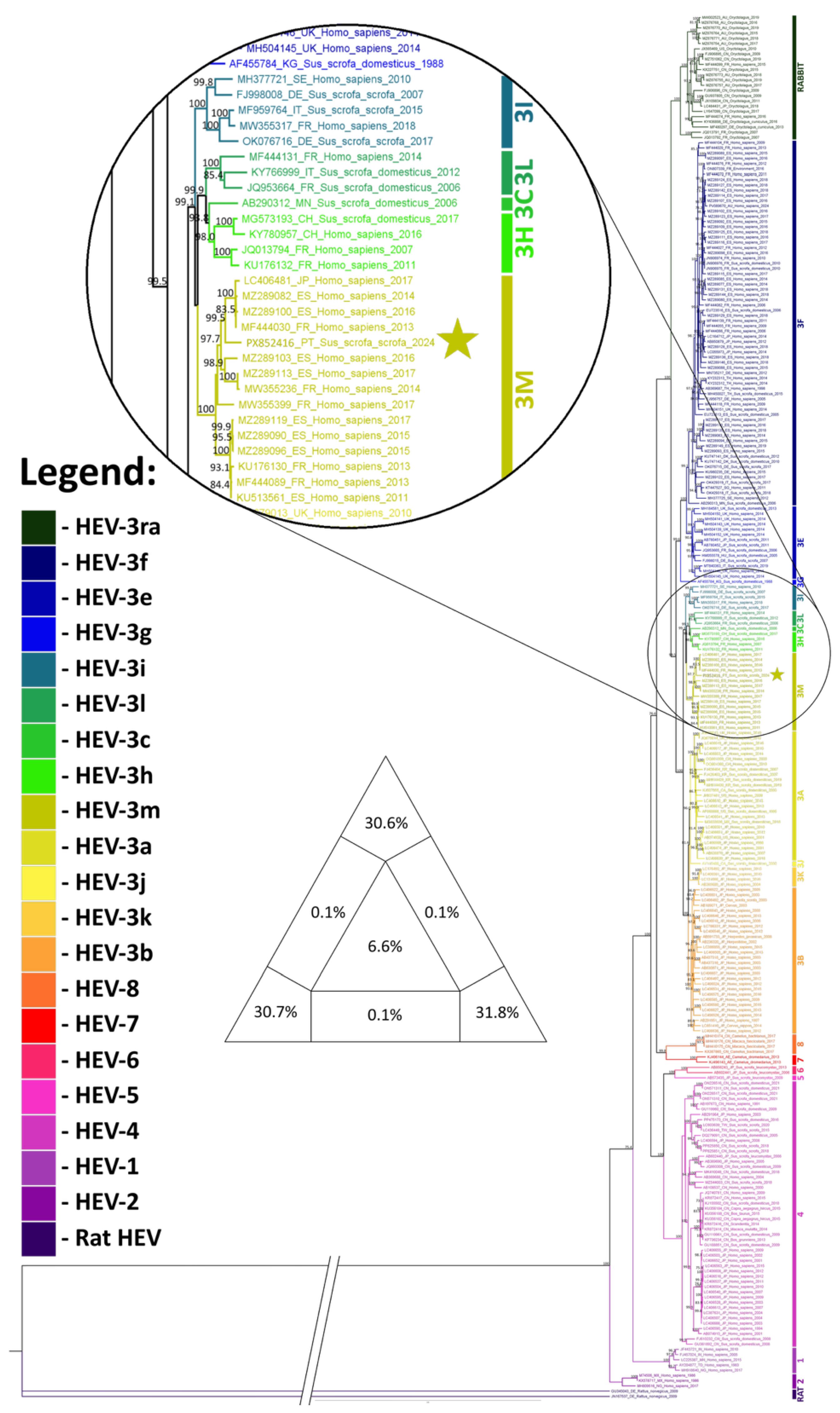 Preprints 205770 g003 Preprints 205770 g003