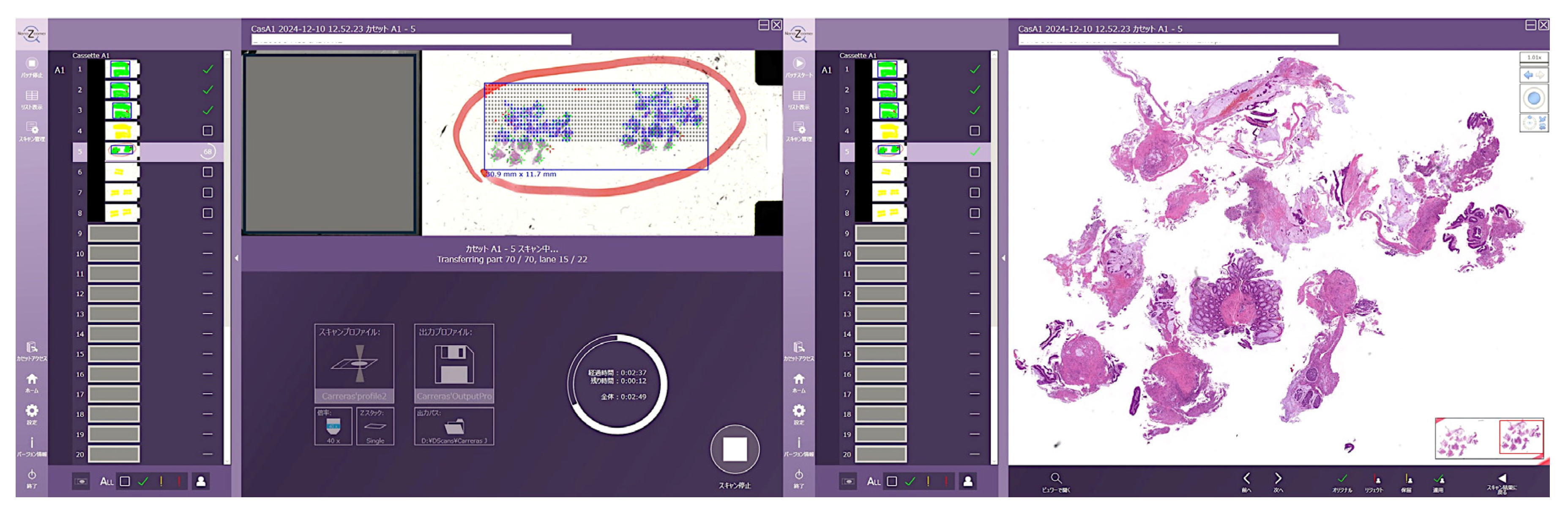 Preprints 144664 g002