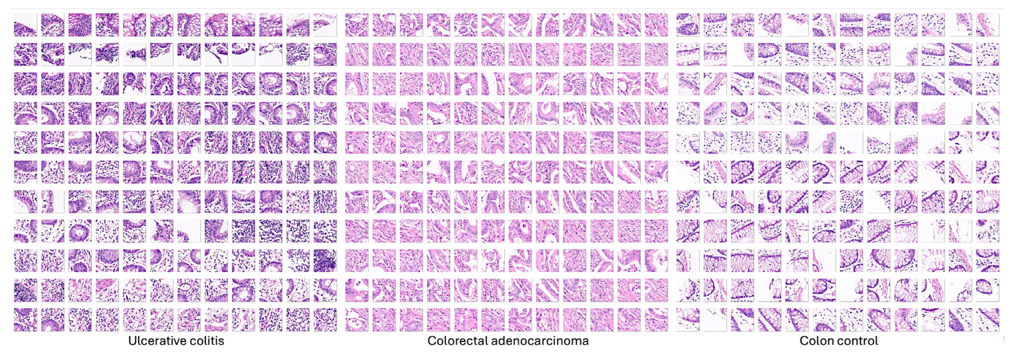 Preprints 144664 g003
