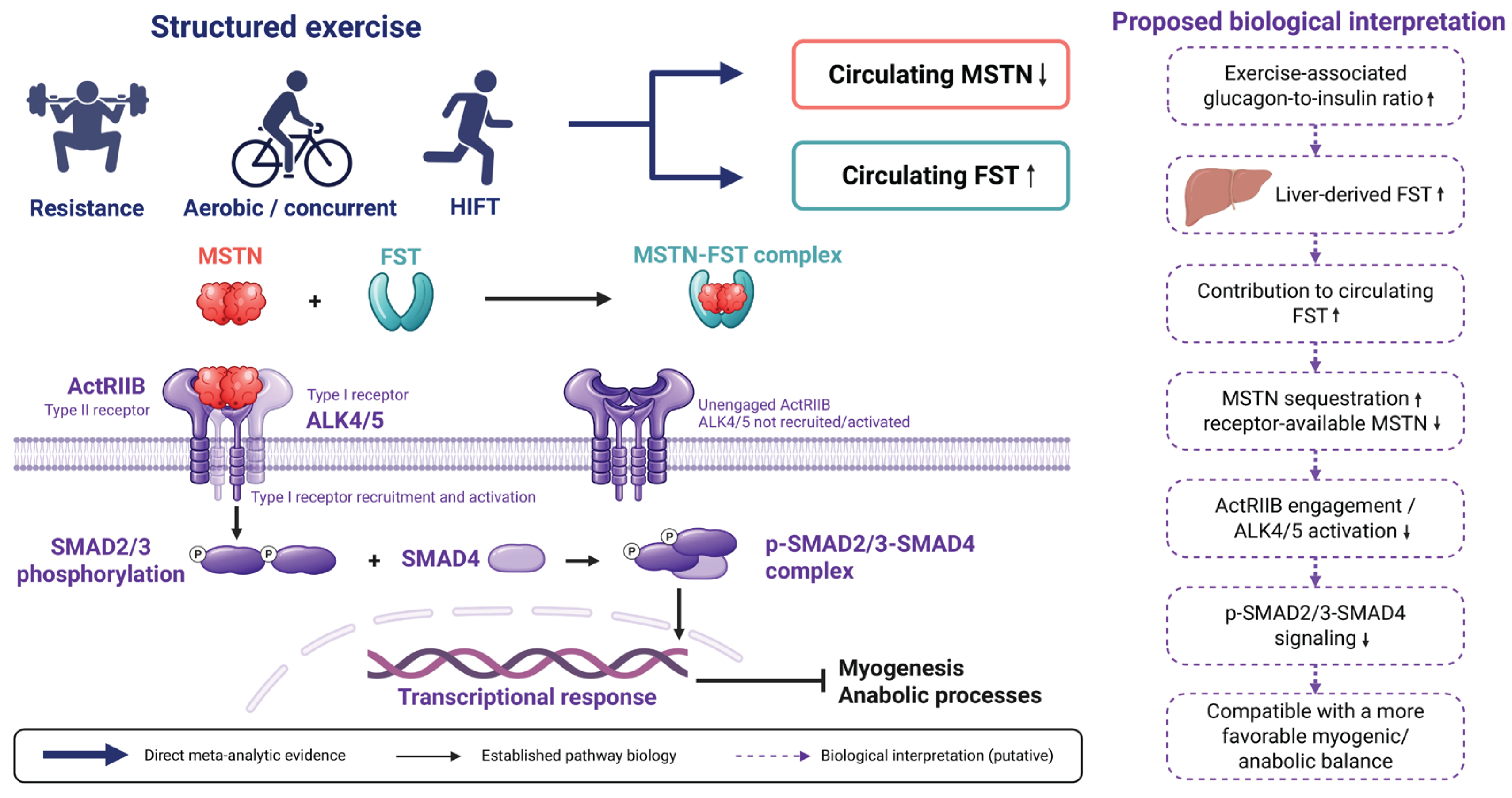 Preprints 231709 g004